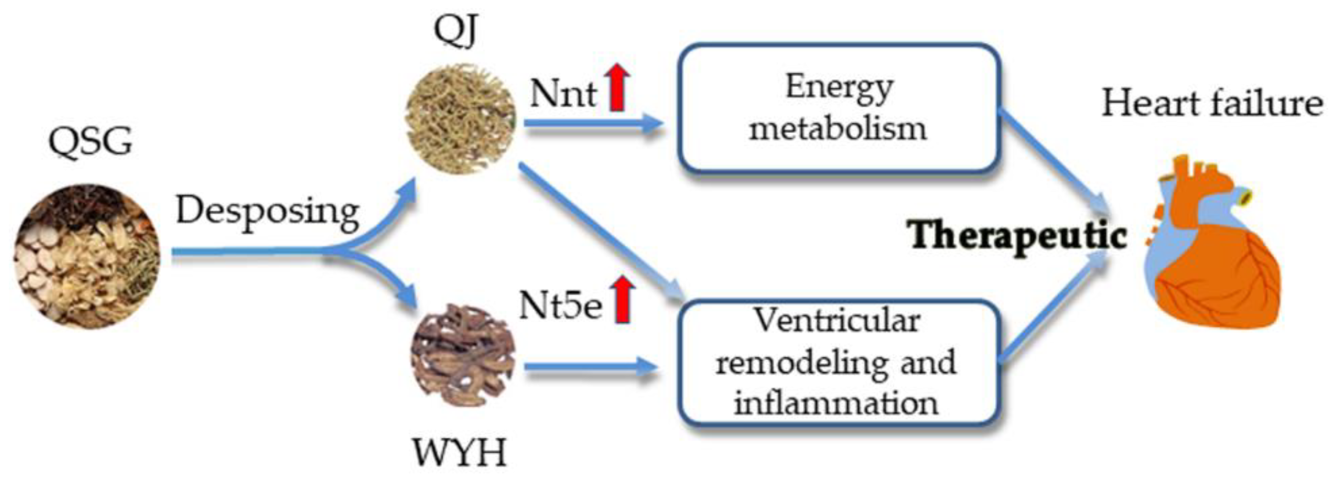 Molecules 23 01829 g005