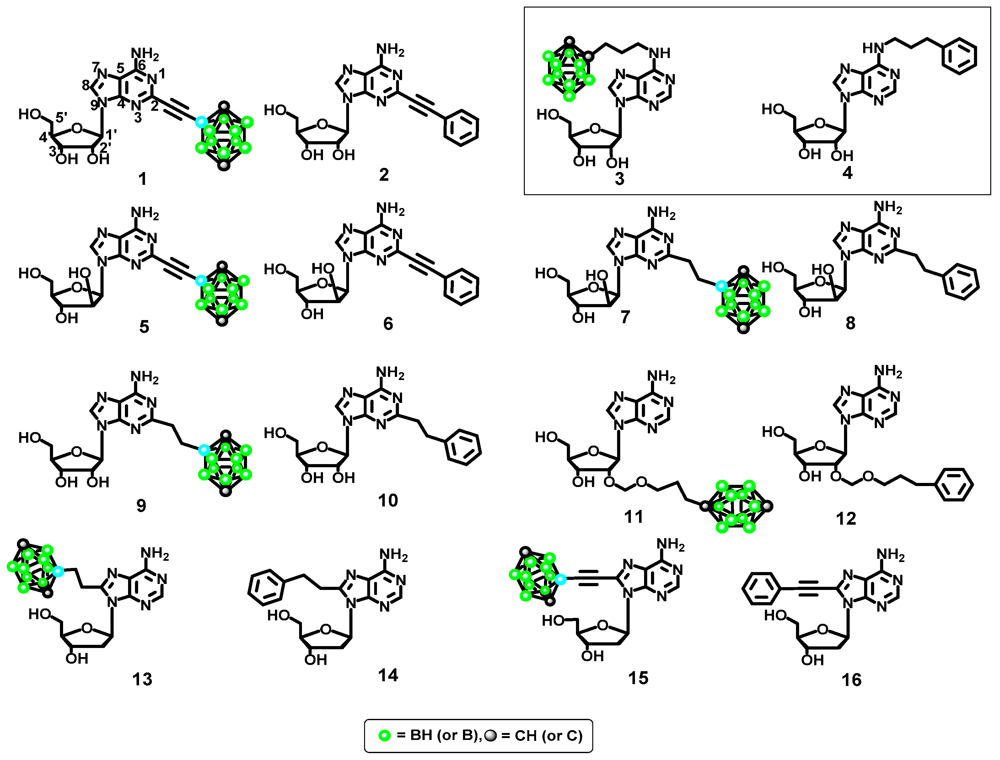 Molecules 23 01846 g003