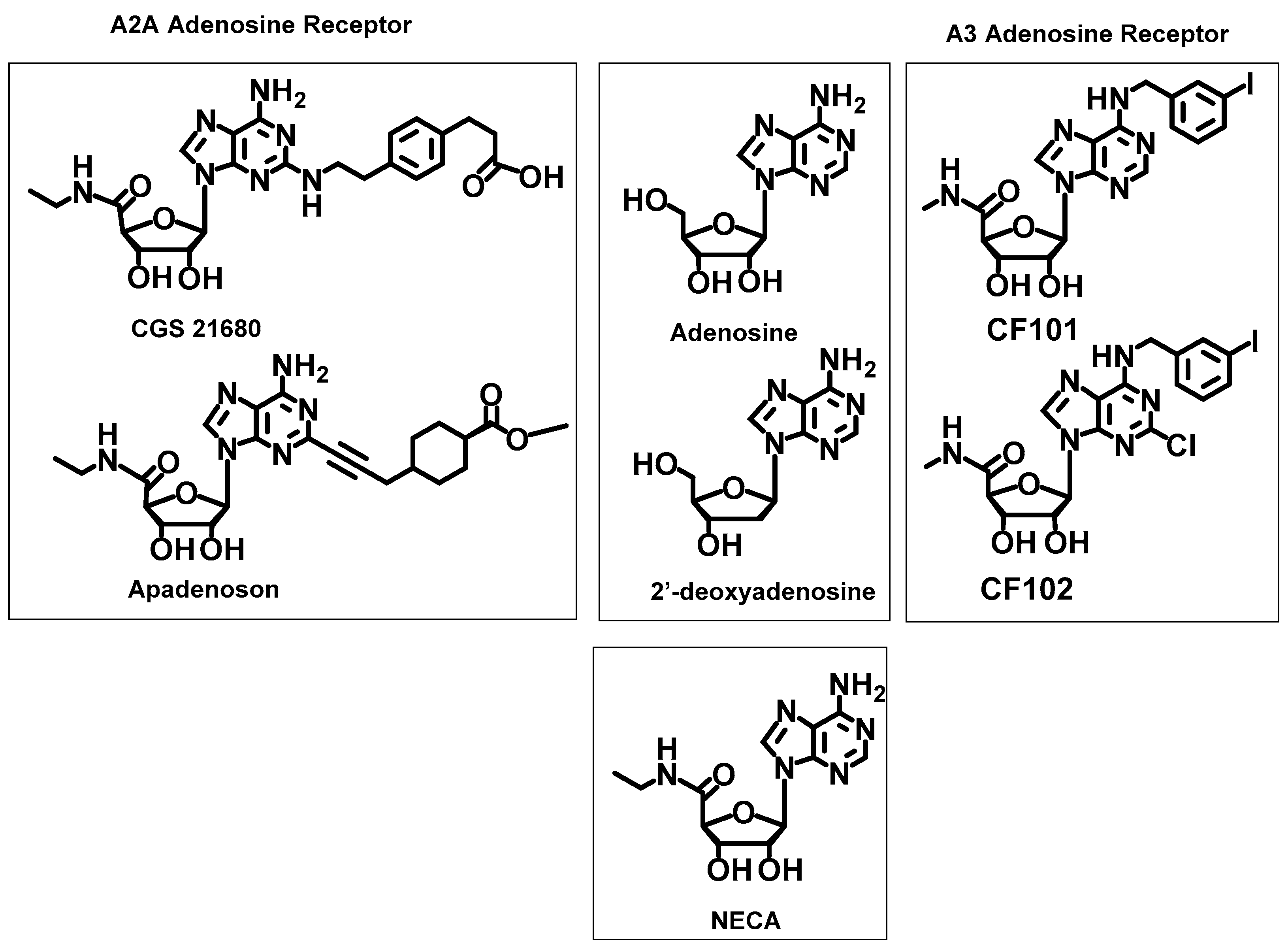 Molecules 23 01846 g004