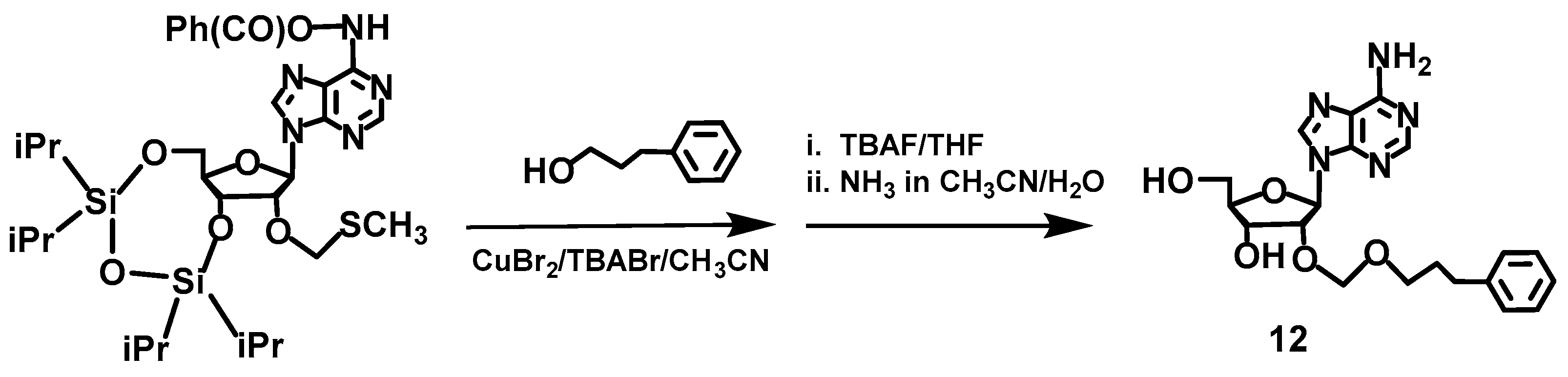 Molecules 23 01846 g010