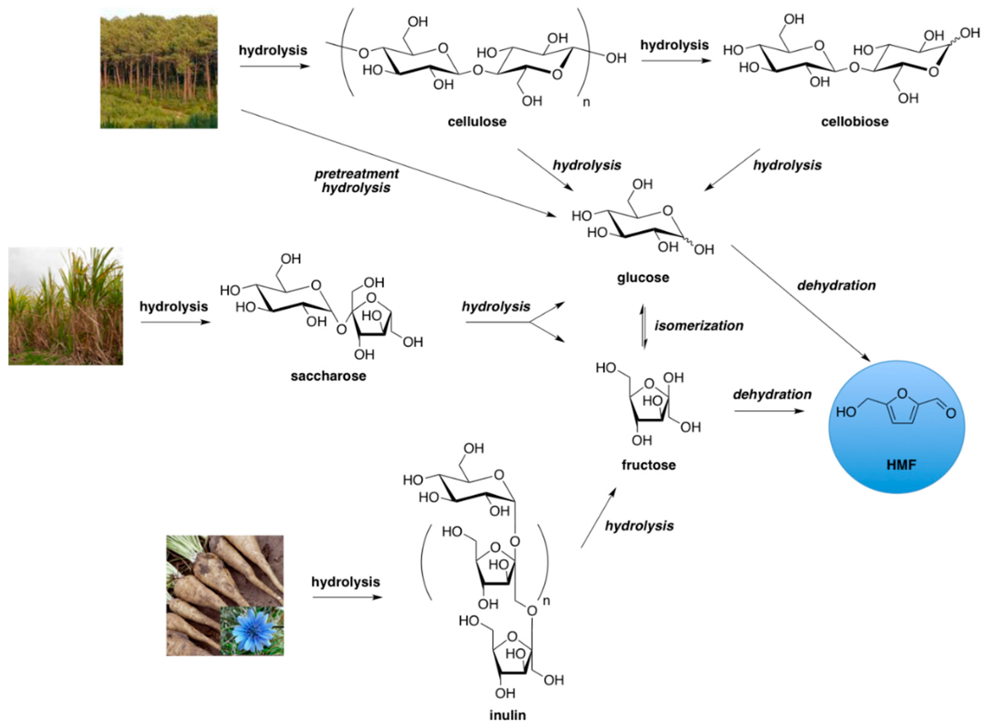 Molecules 23 01973 sch001