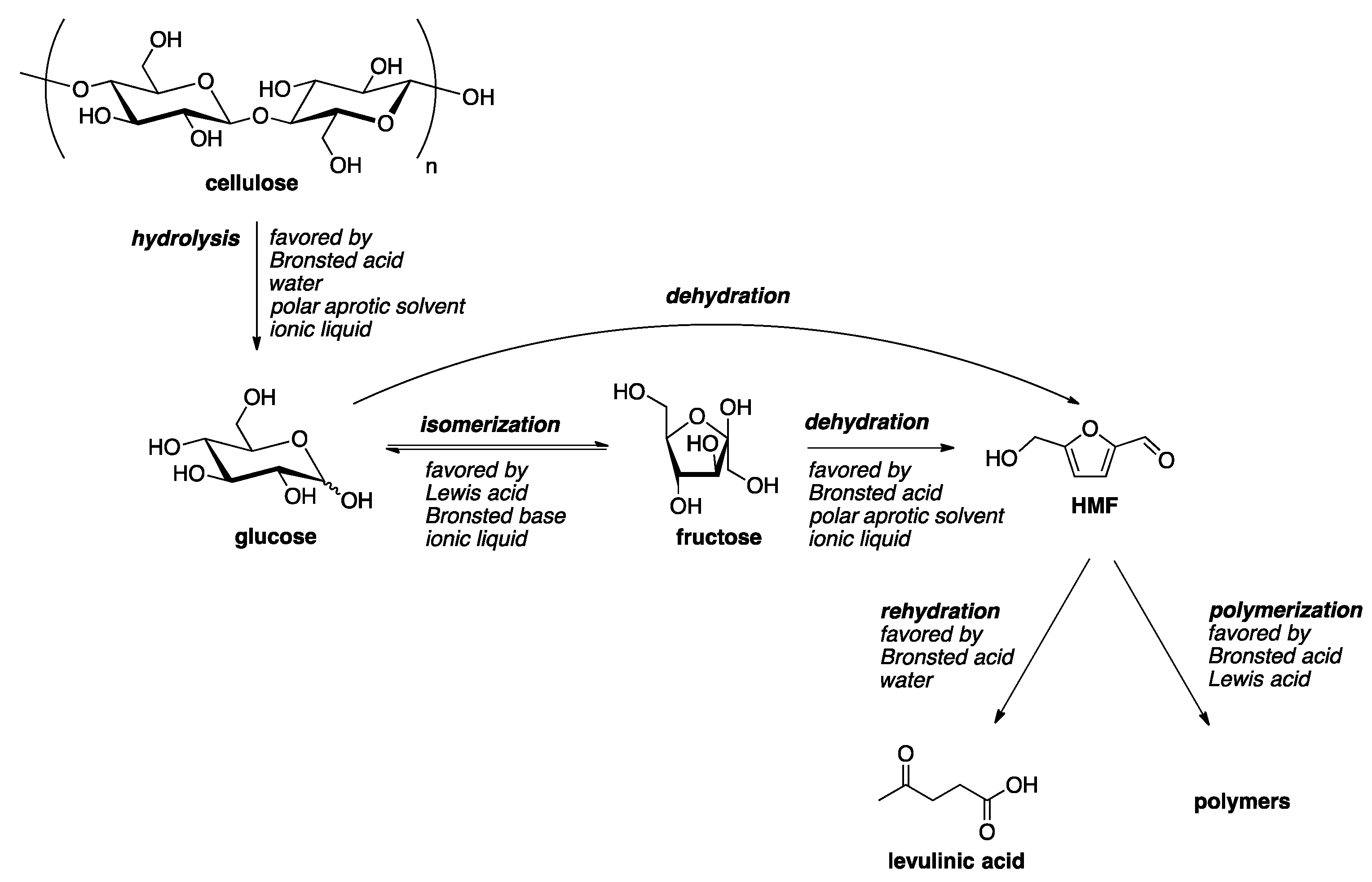 Molecules 23 01973 sch002