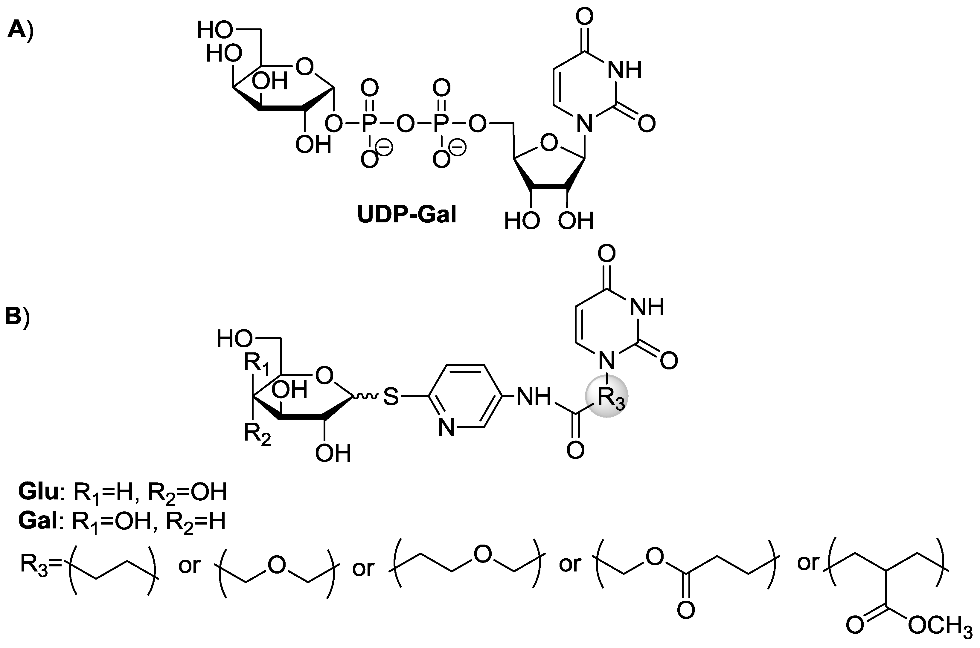 Molecules 23 02017 g001