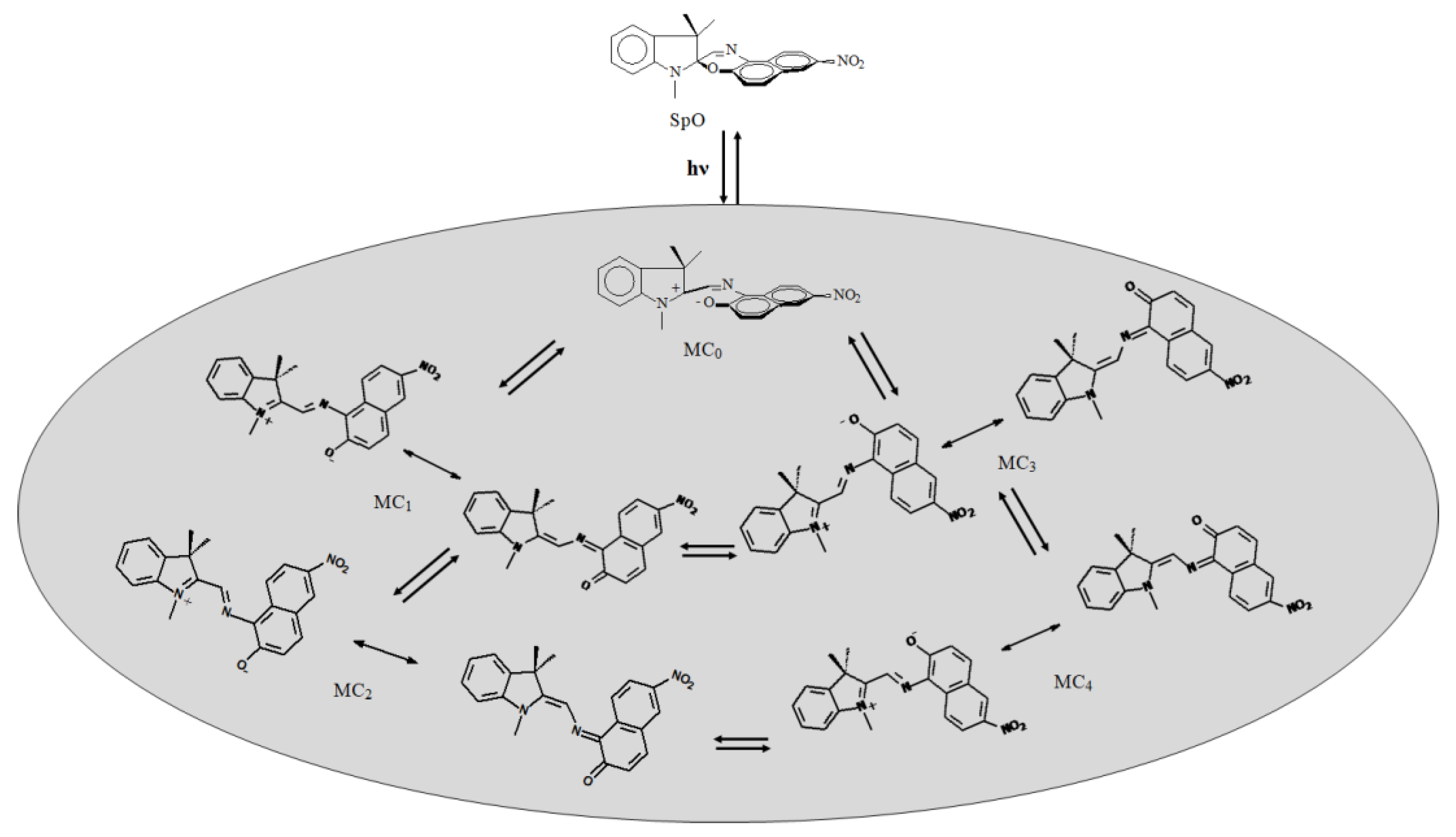 Molecules 23 02074 g009