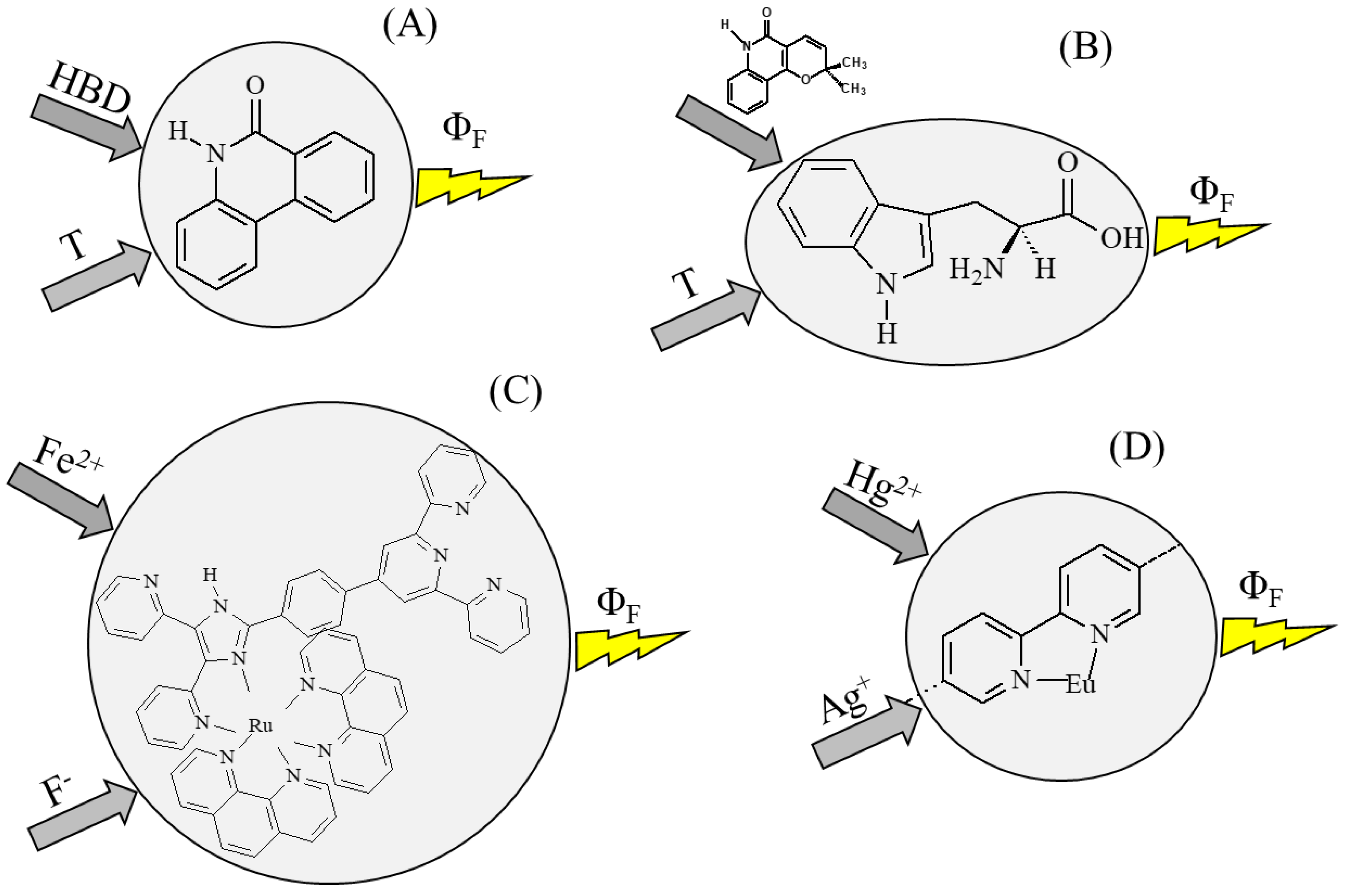 Molecules 23 02074 g010