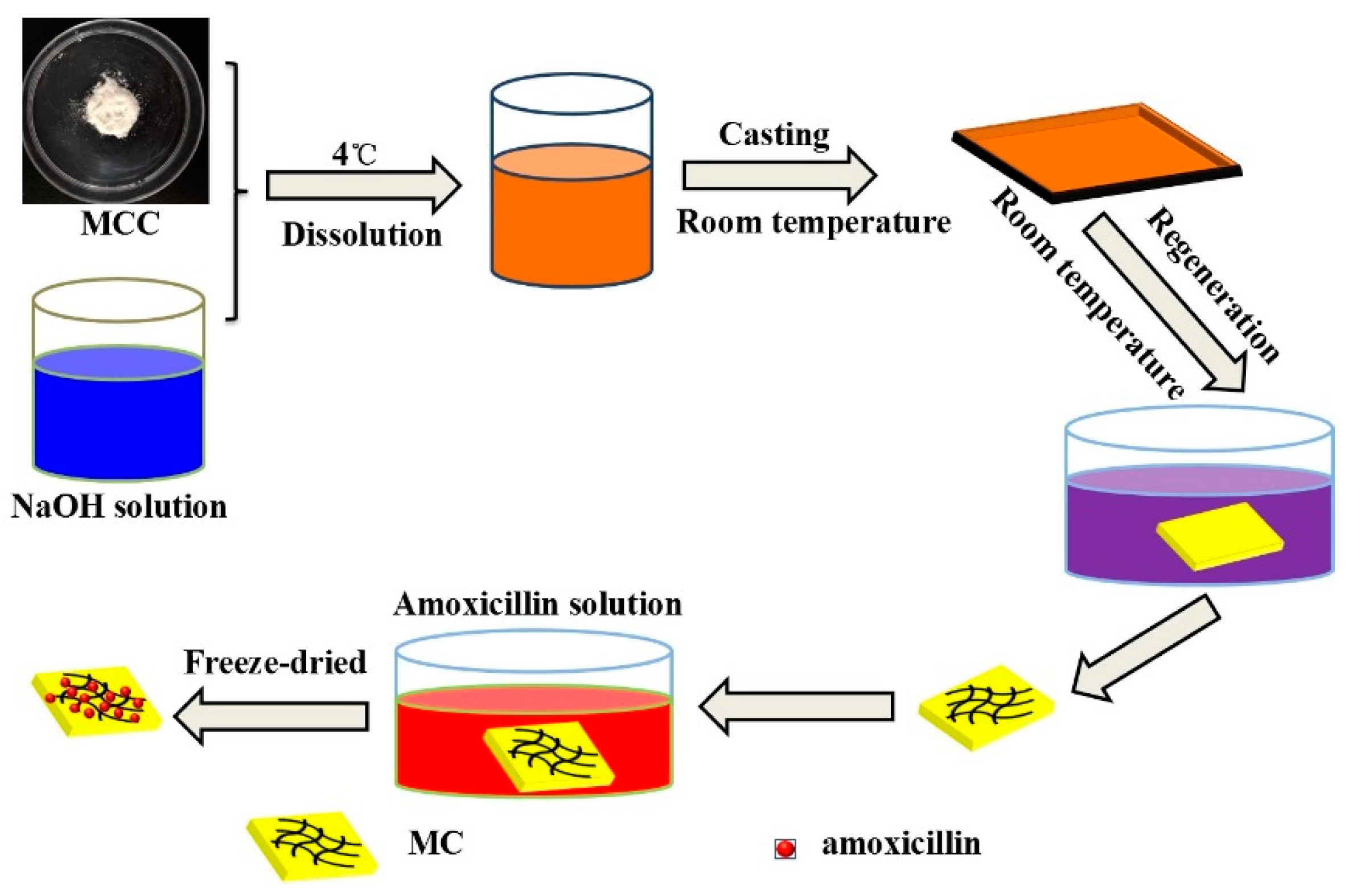 Molecules 23 02082 g001