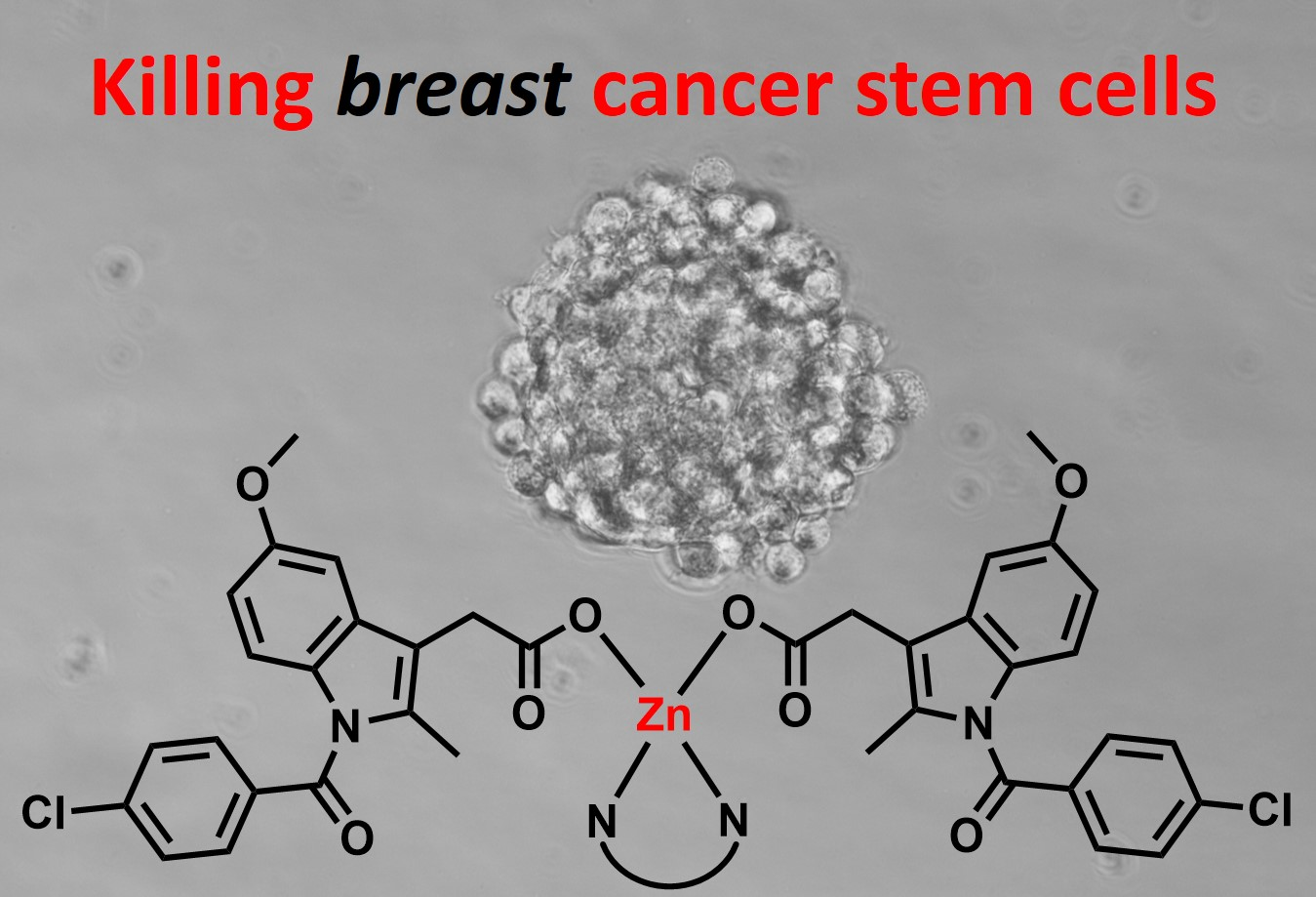 Molecules Free FullText Polypyridyl Zinc(II)Indomethacin