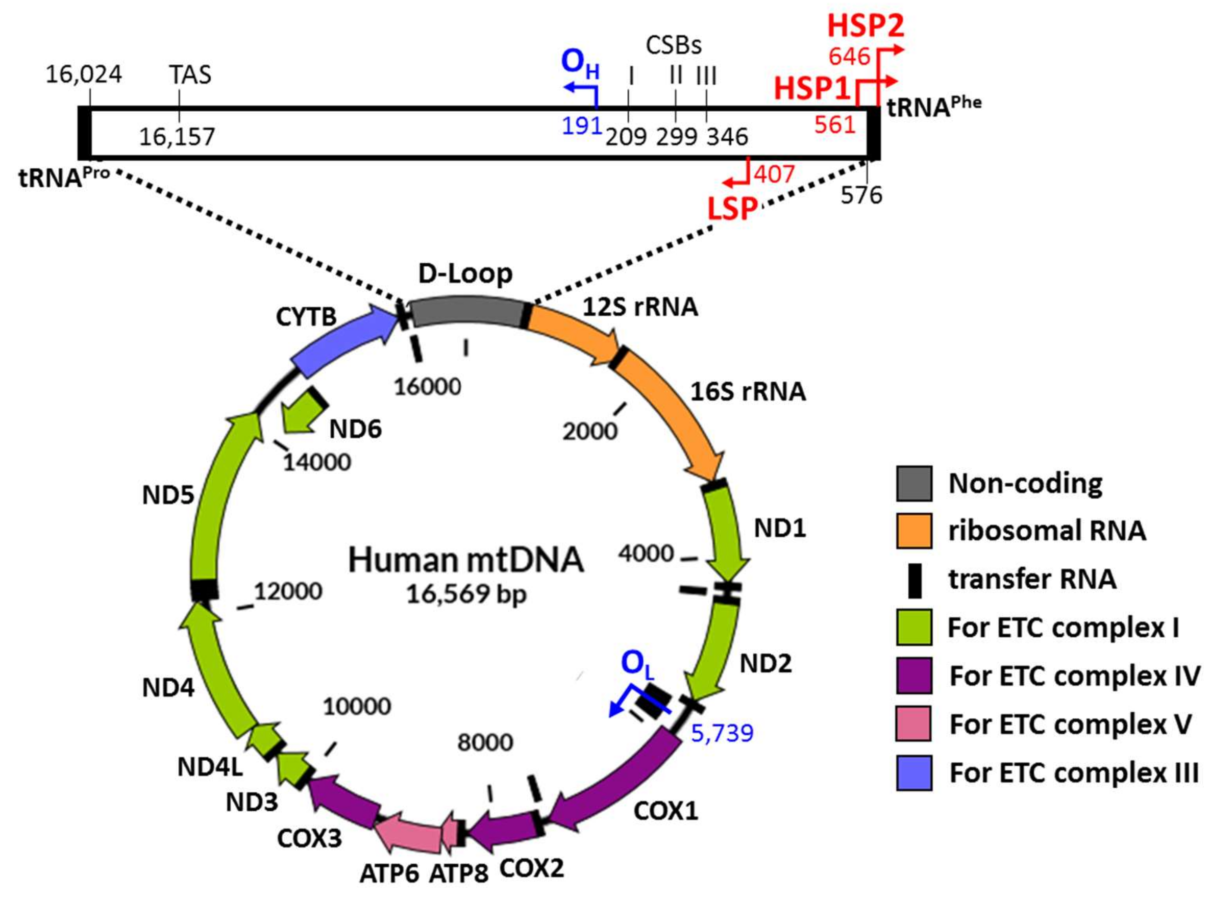 Molecules 23 02316 g001