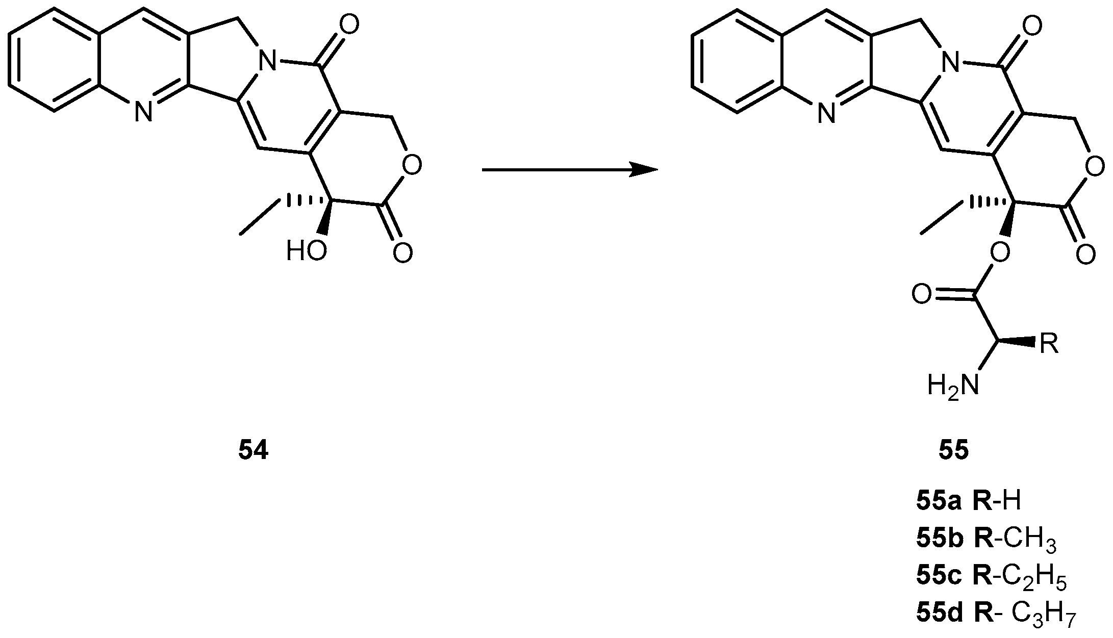 Molecules 23 02318 g025