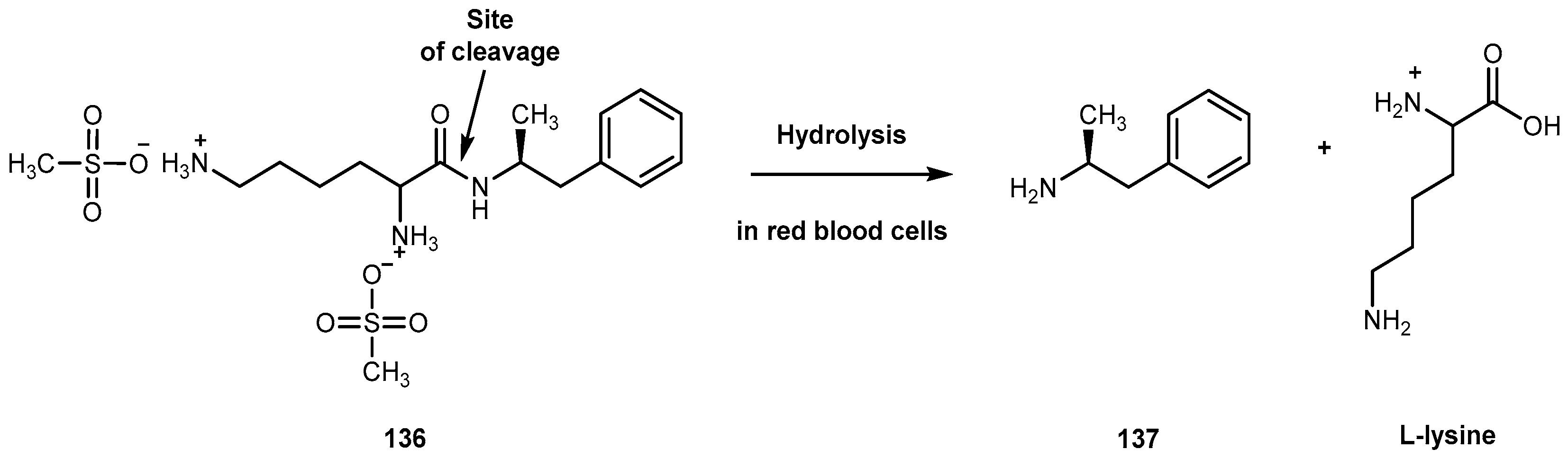Molecules 23 02318 g055