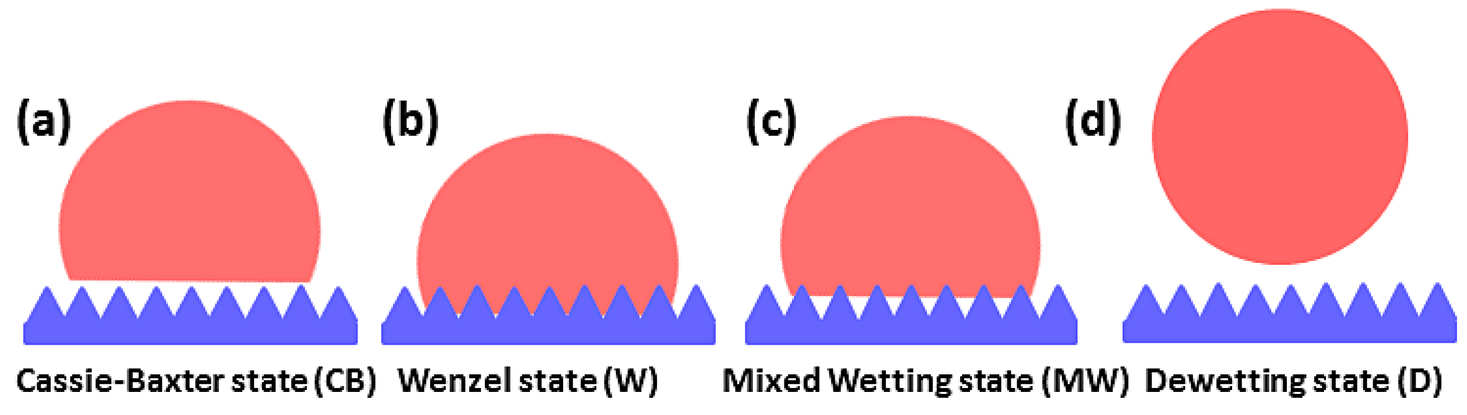 Molecules 23 02407 g001
