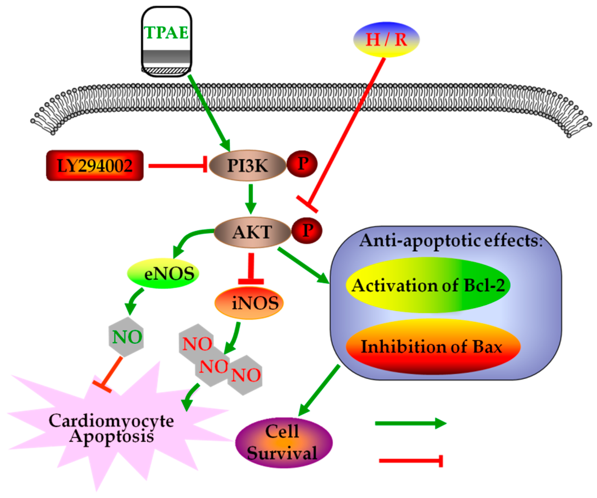 Molecules 23 02409 g006