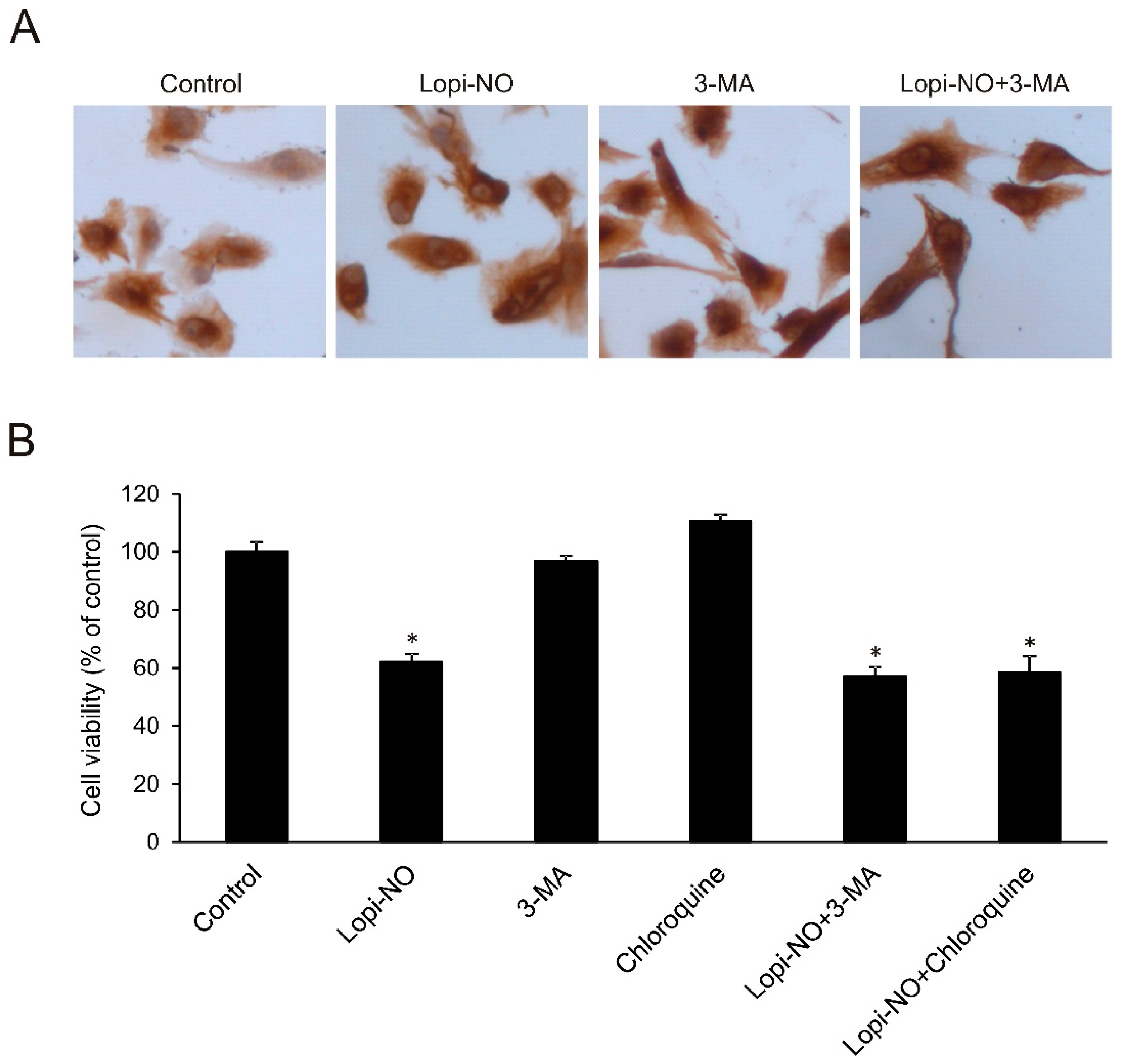 Molecules 23 02463 g004