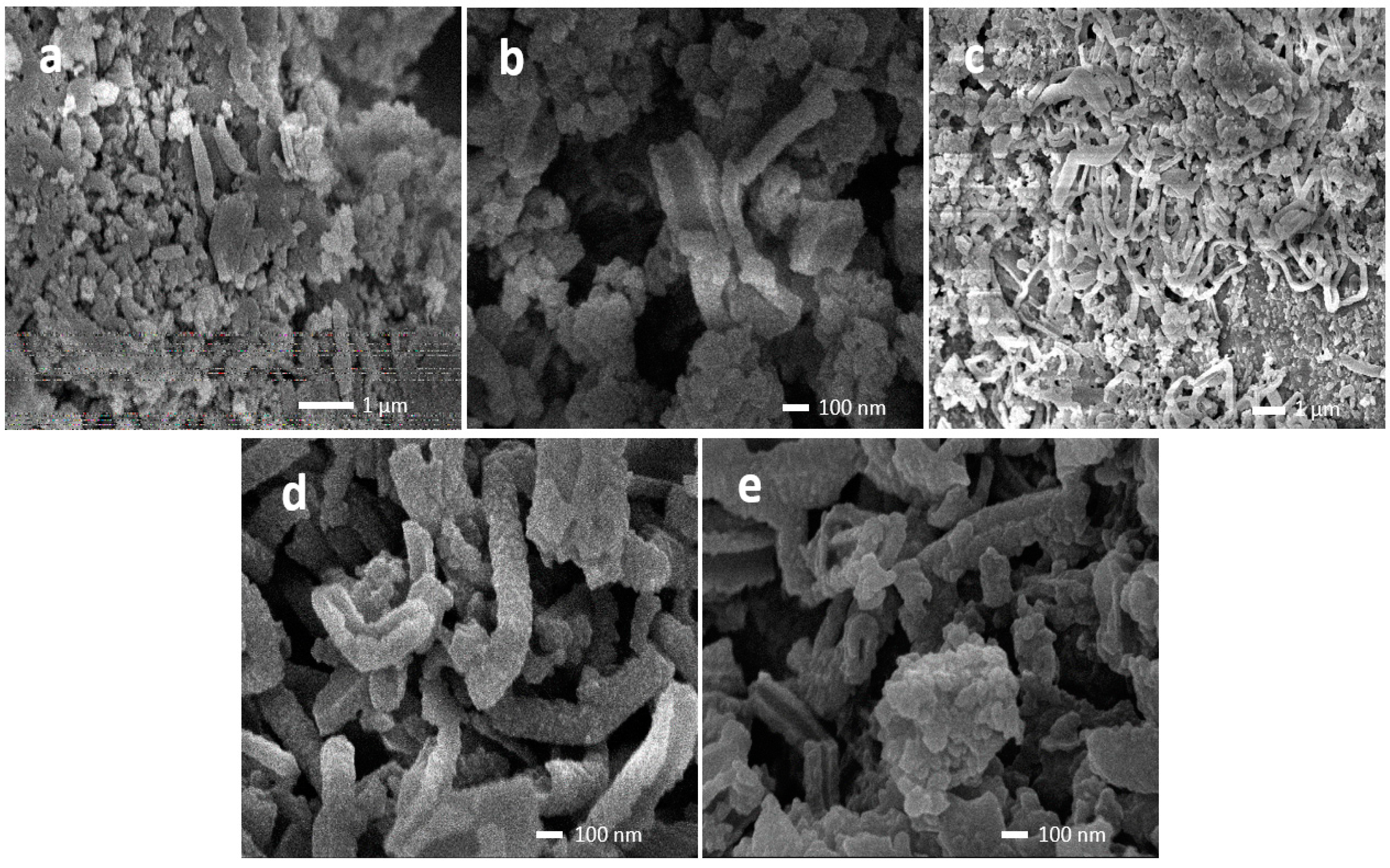 Molecules 23 02470 g005