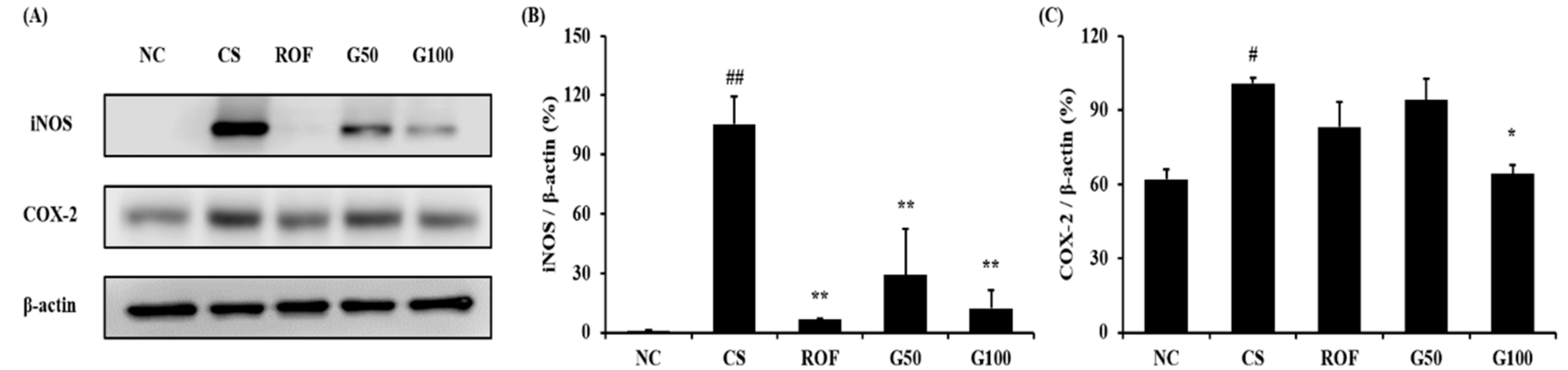 Molecules 23 02489 g005