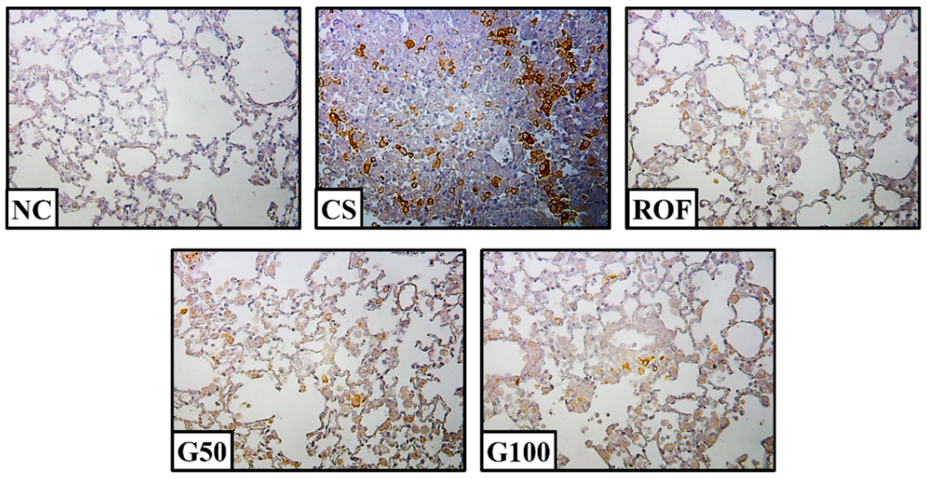 Molecules 23 02489 g006