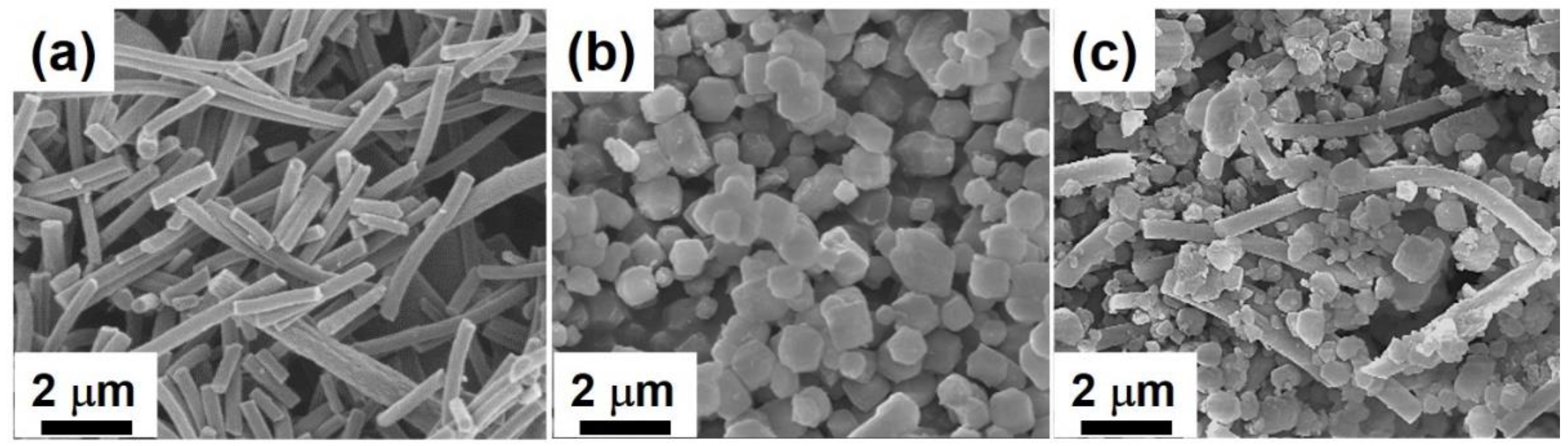 Molecules 23 02552 g001