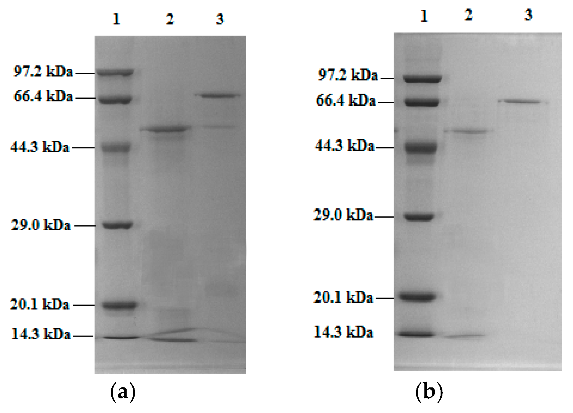 Molecules 23 02754 g008
