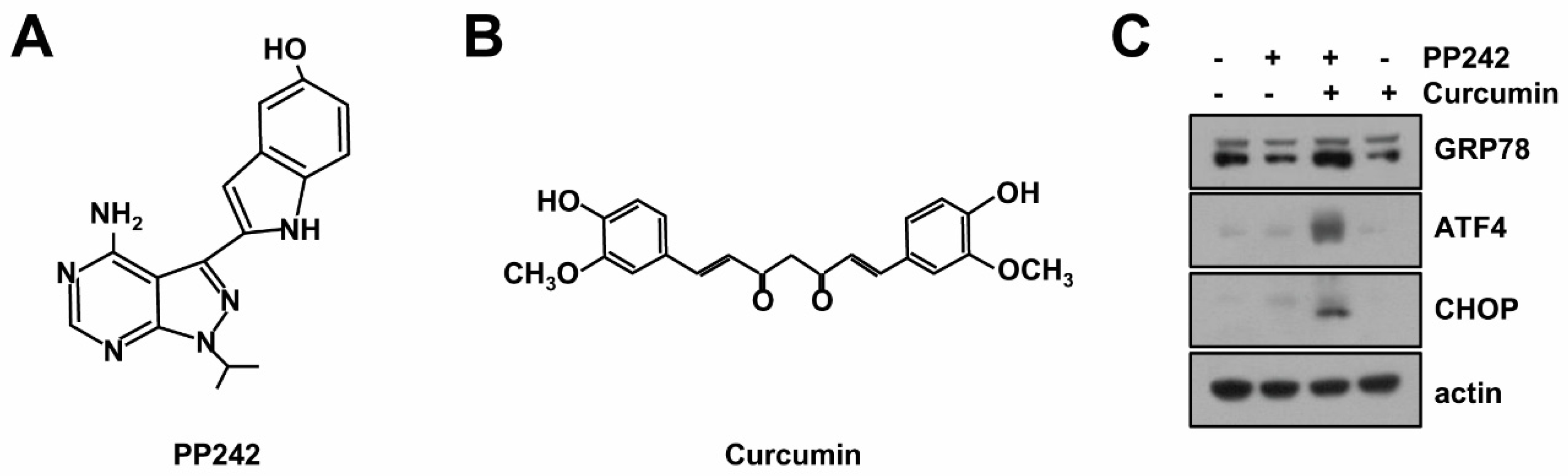 Molecules 23 02755 g001