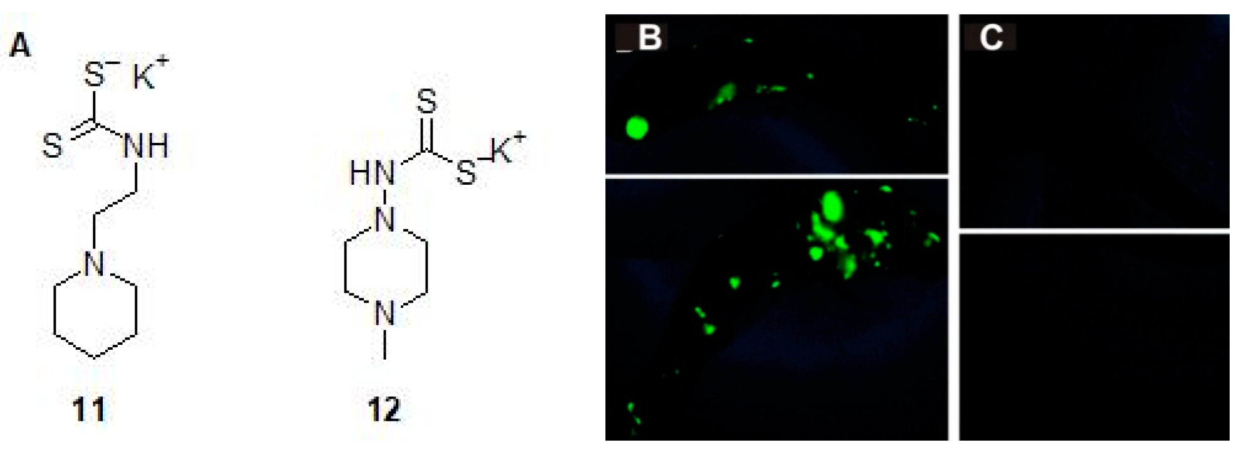 Molecules 23 02911 g011