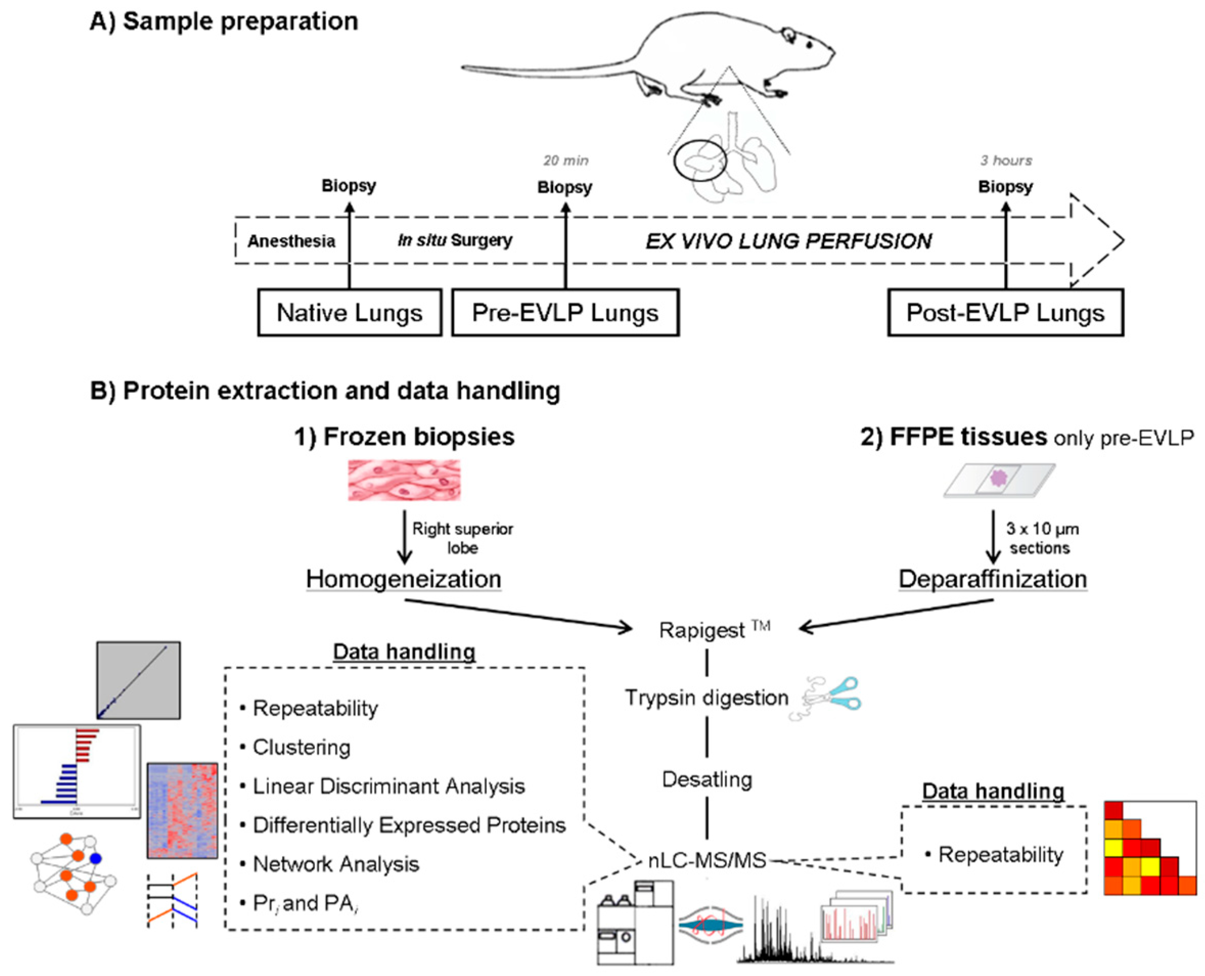 Molecules 23 03061 g001