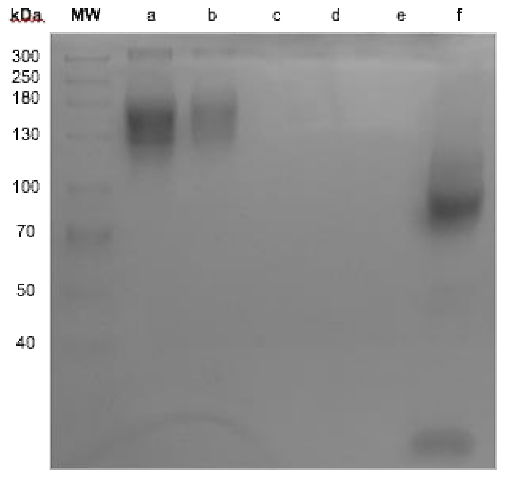 Molecules 23 03138 g001
