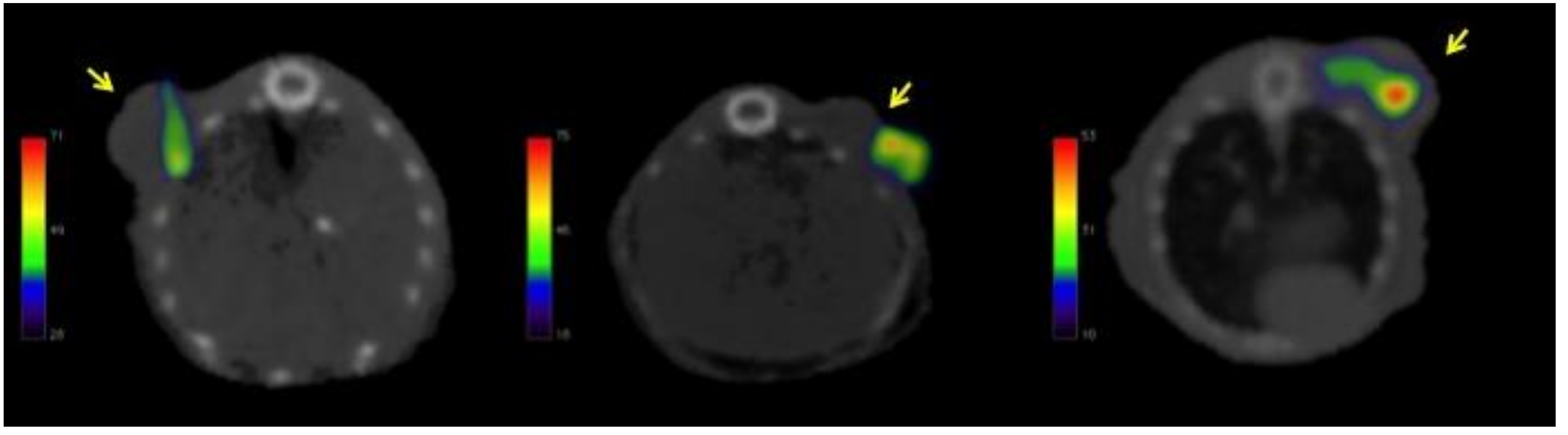 Molecules 23 03138 g003