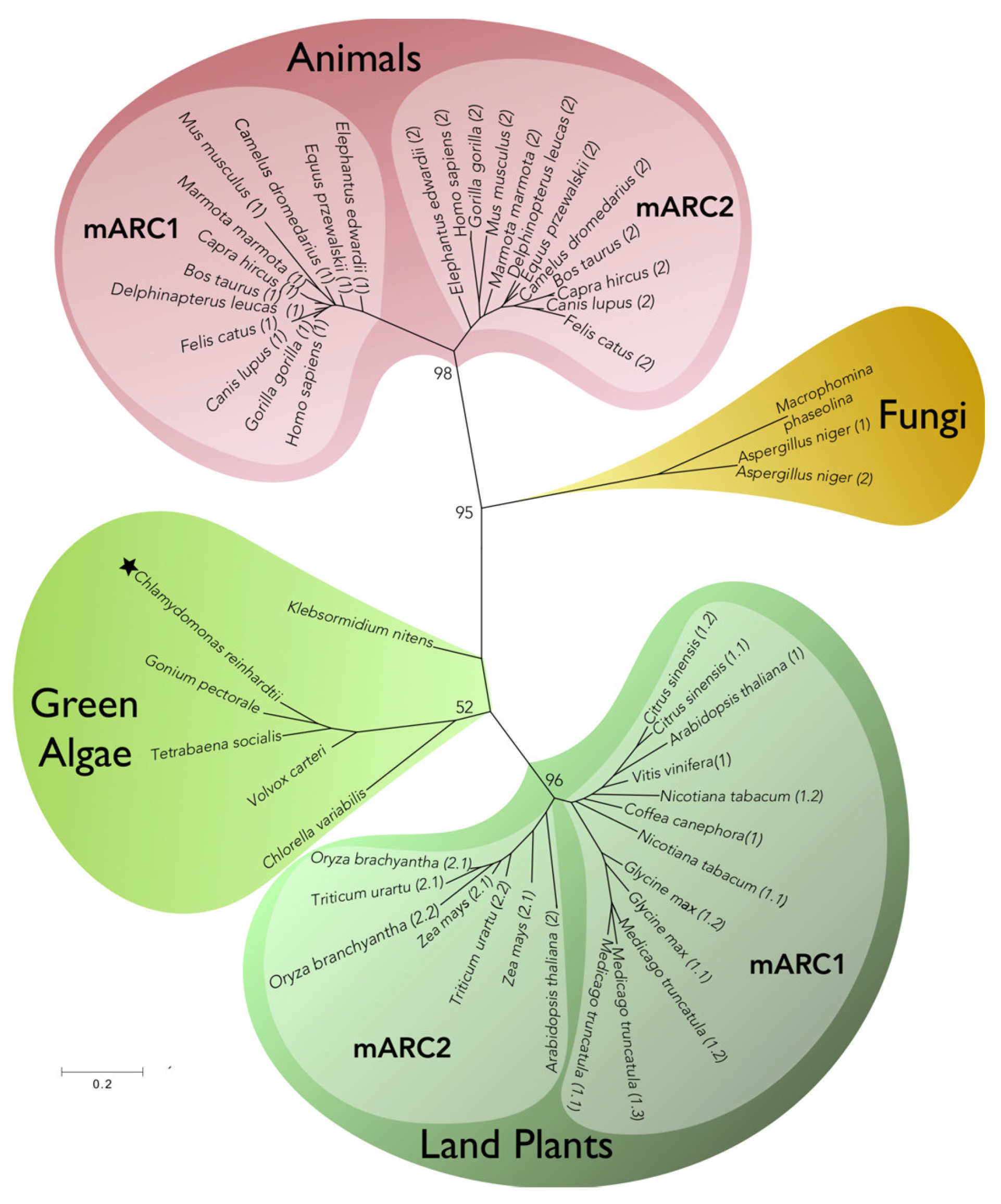 Molecules 23 03287 g003