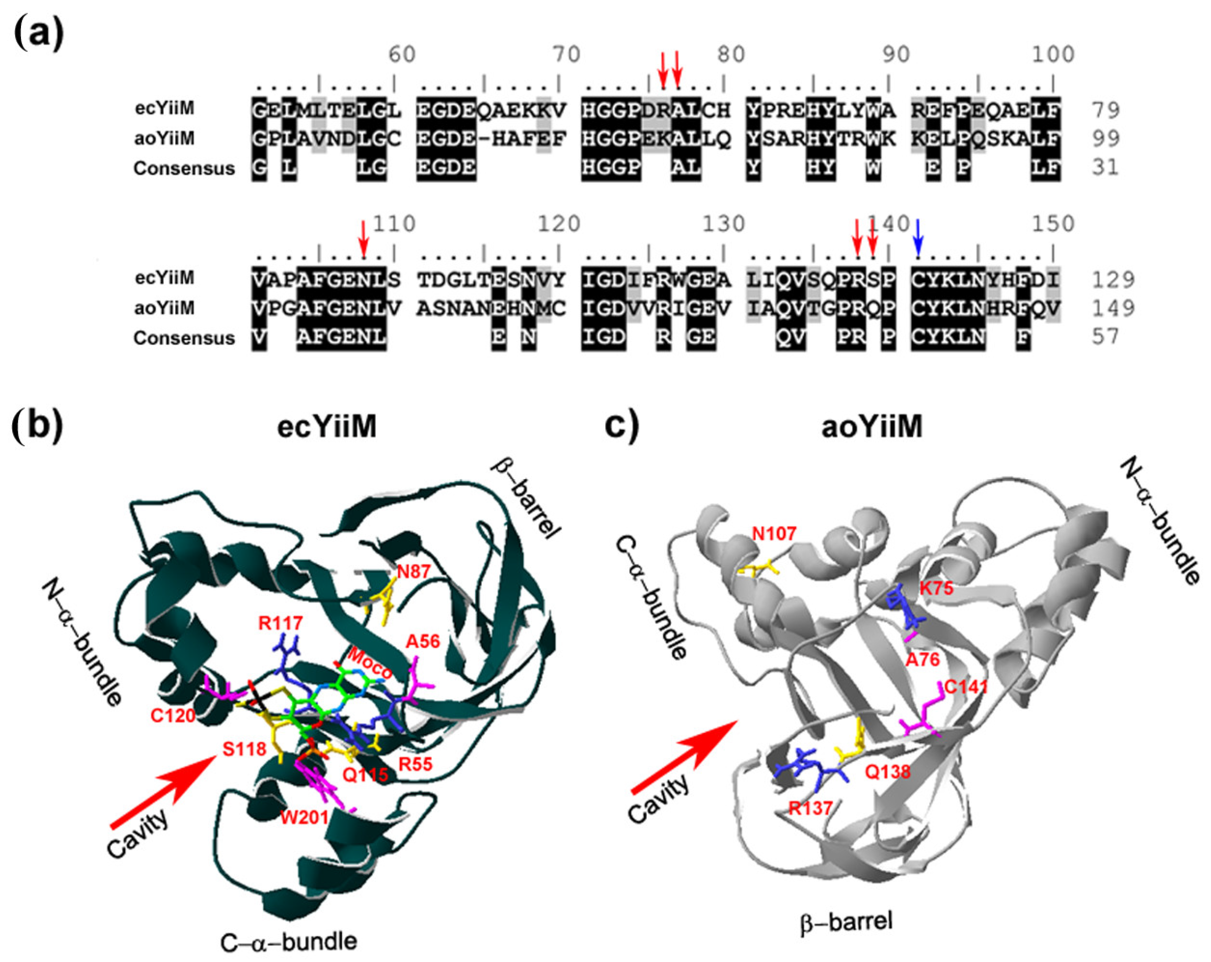 Molecules 23 03287 g005