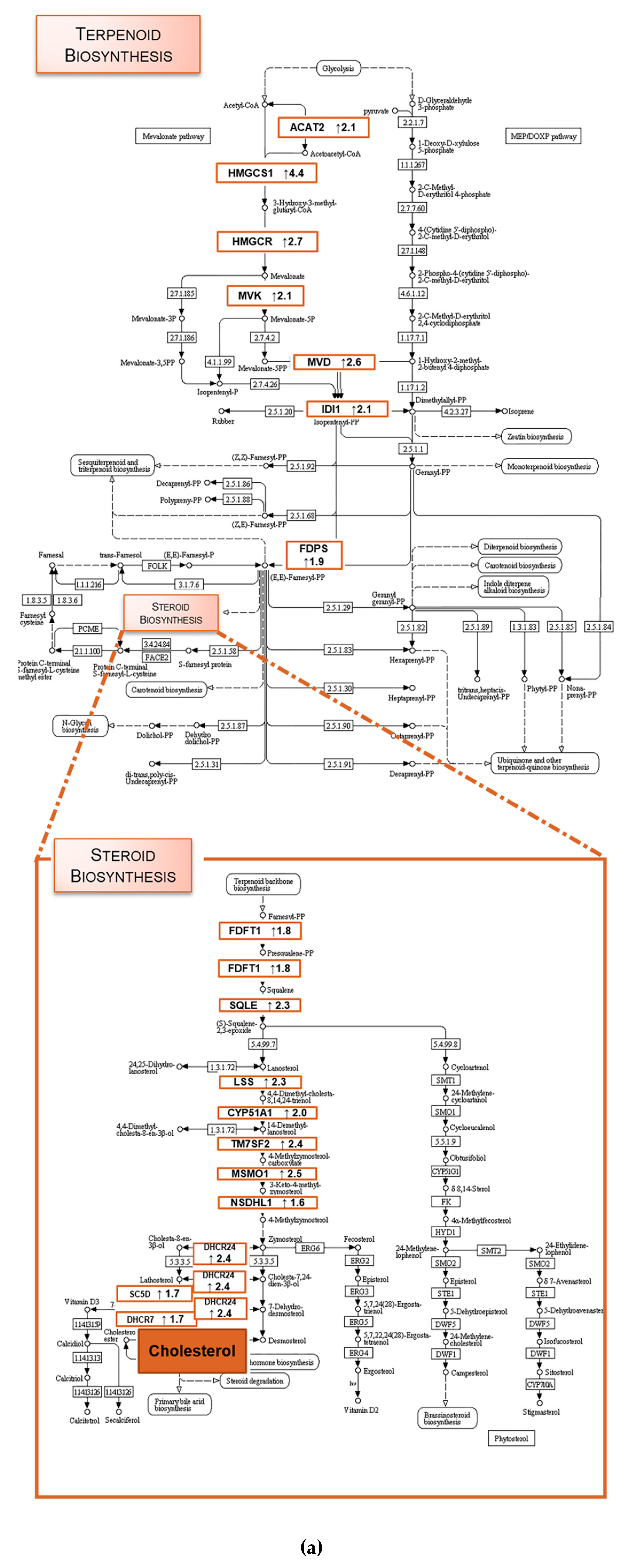 Molecules 23 03301 g005a Molecules 23 03301 g005a