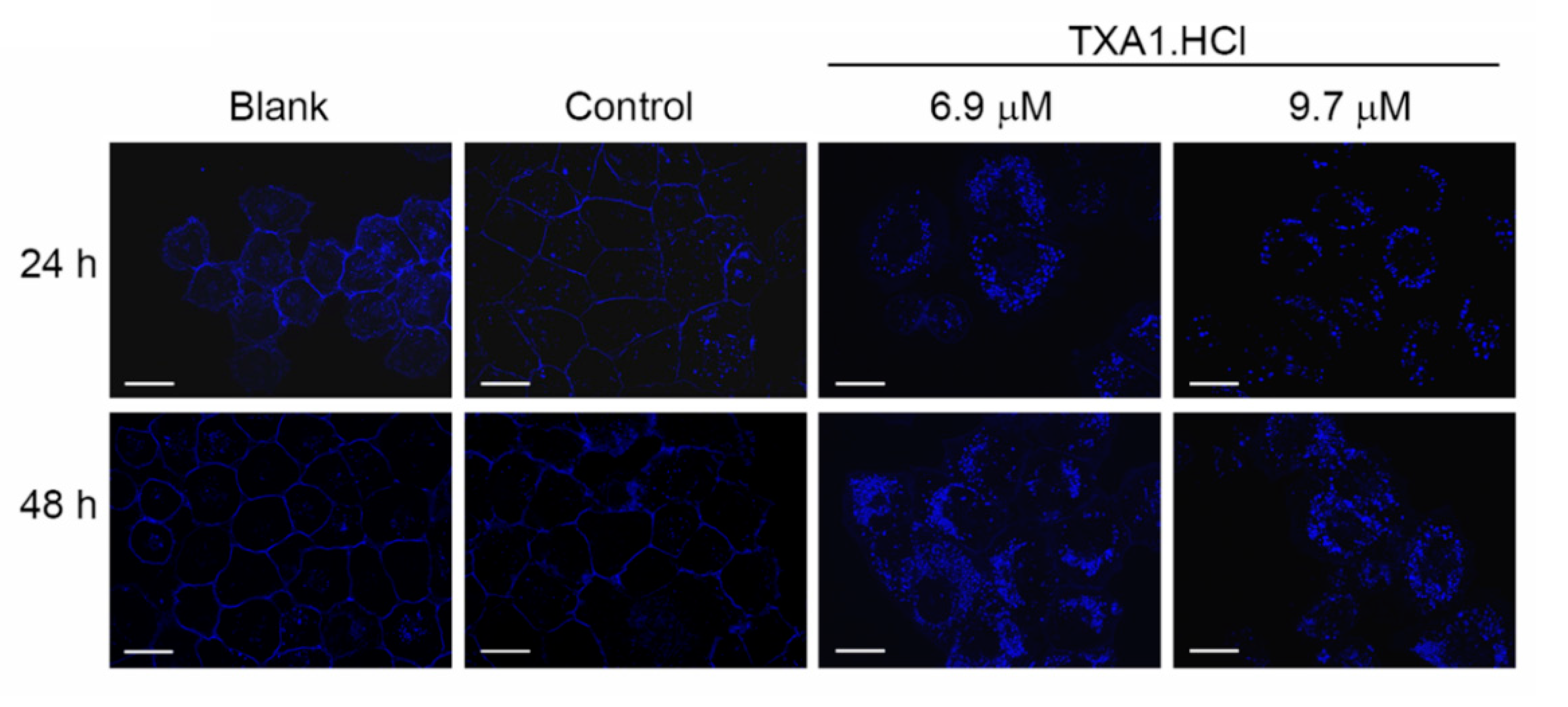 Molecules 23 03301 g006 Molecules 23 03301 g006