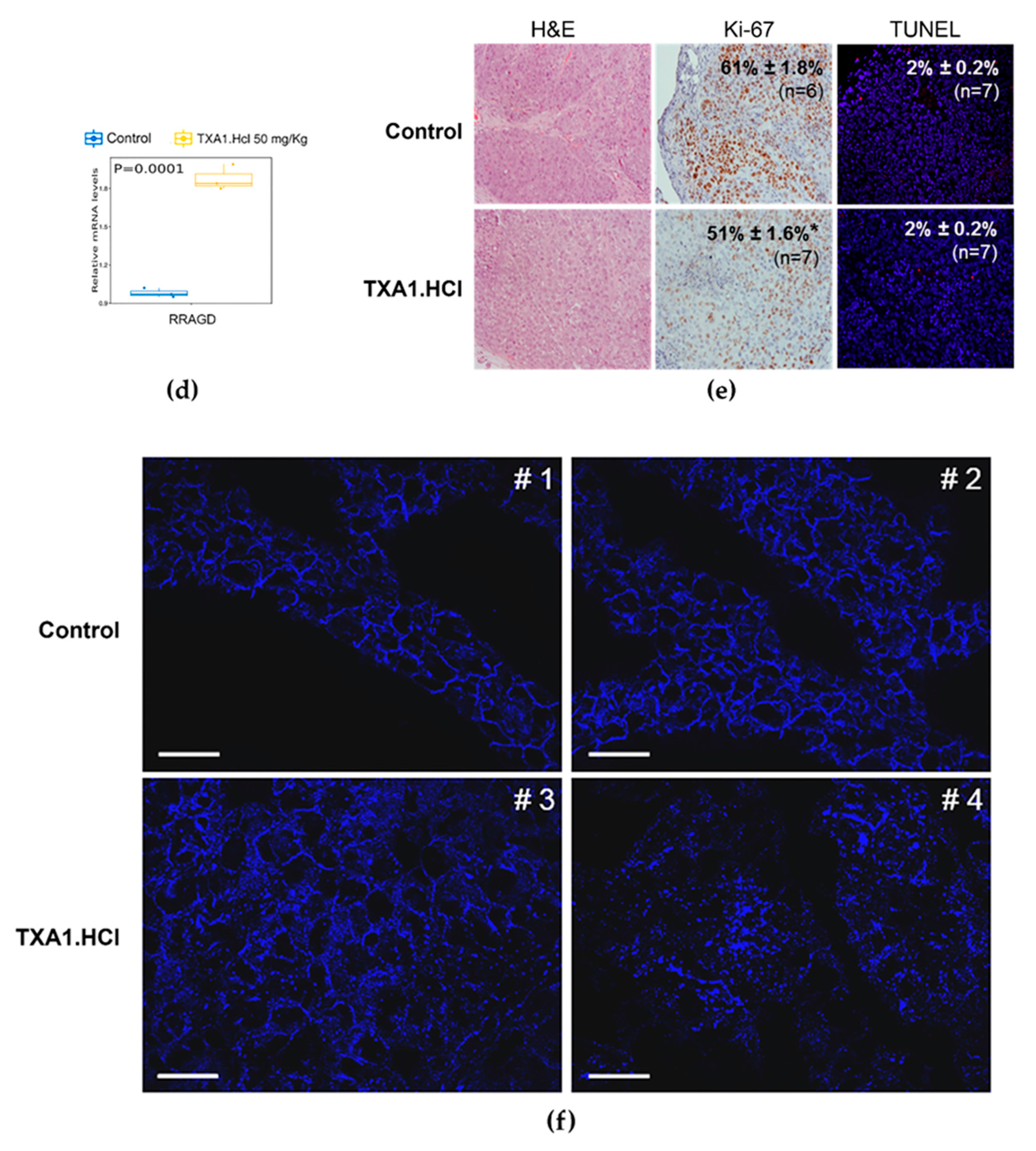 Molecules 23 03301 g009b Molecules 23 03301 g009b
