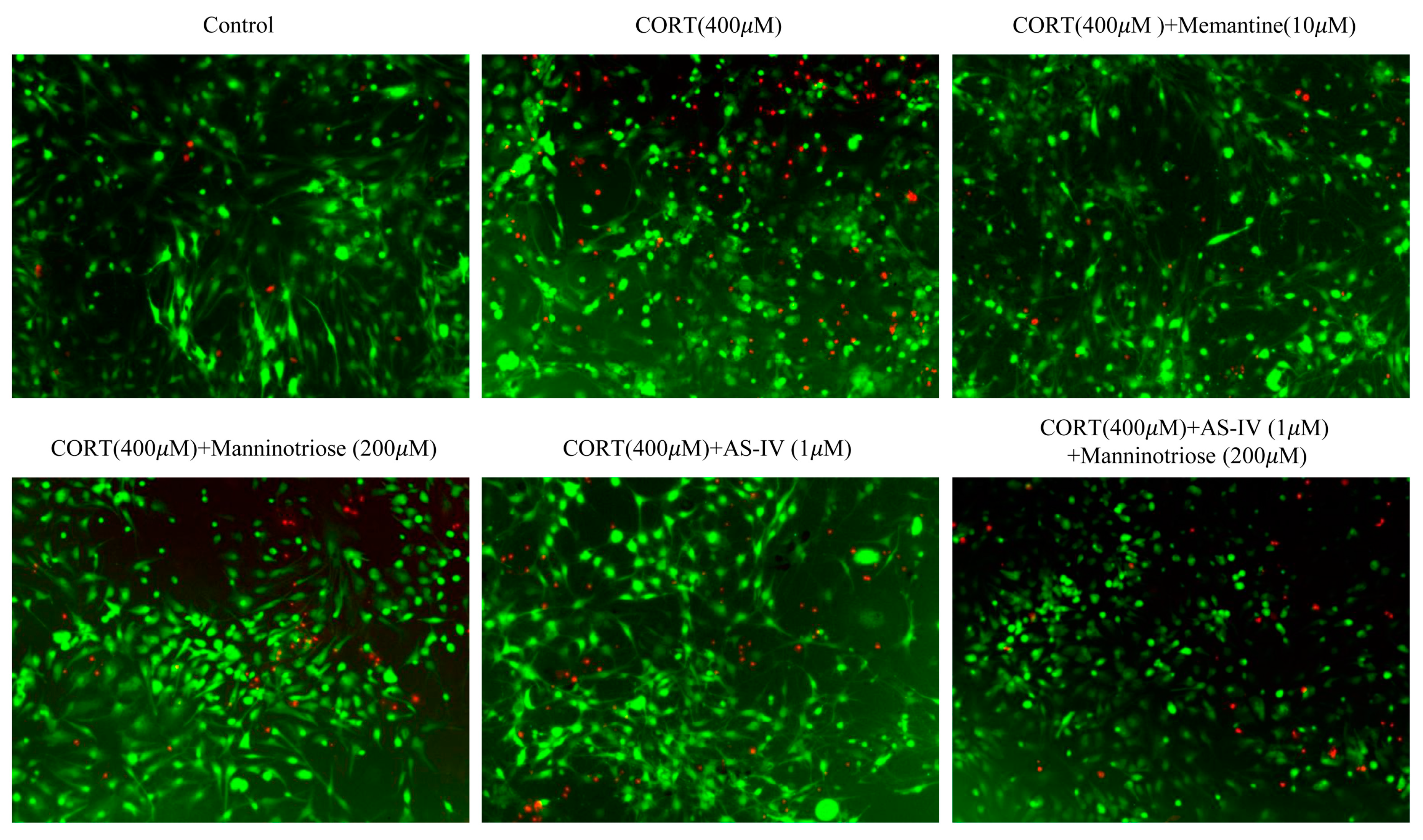 Molecules 23 03339 g002