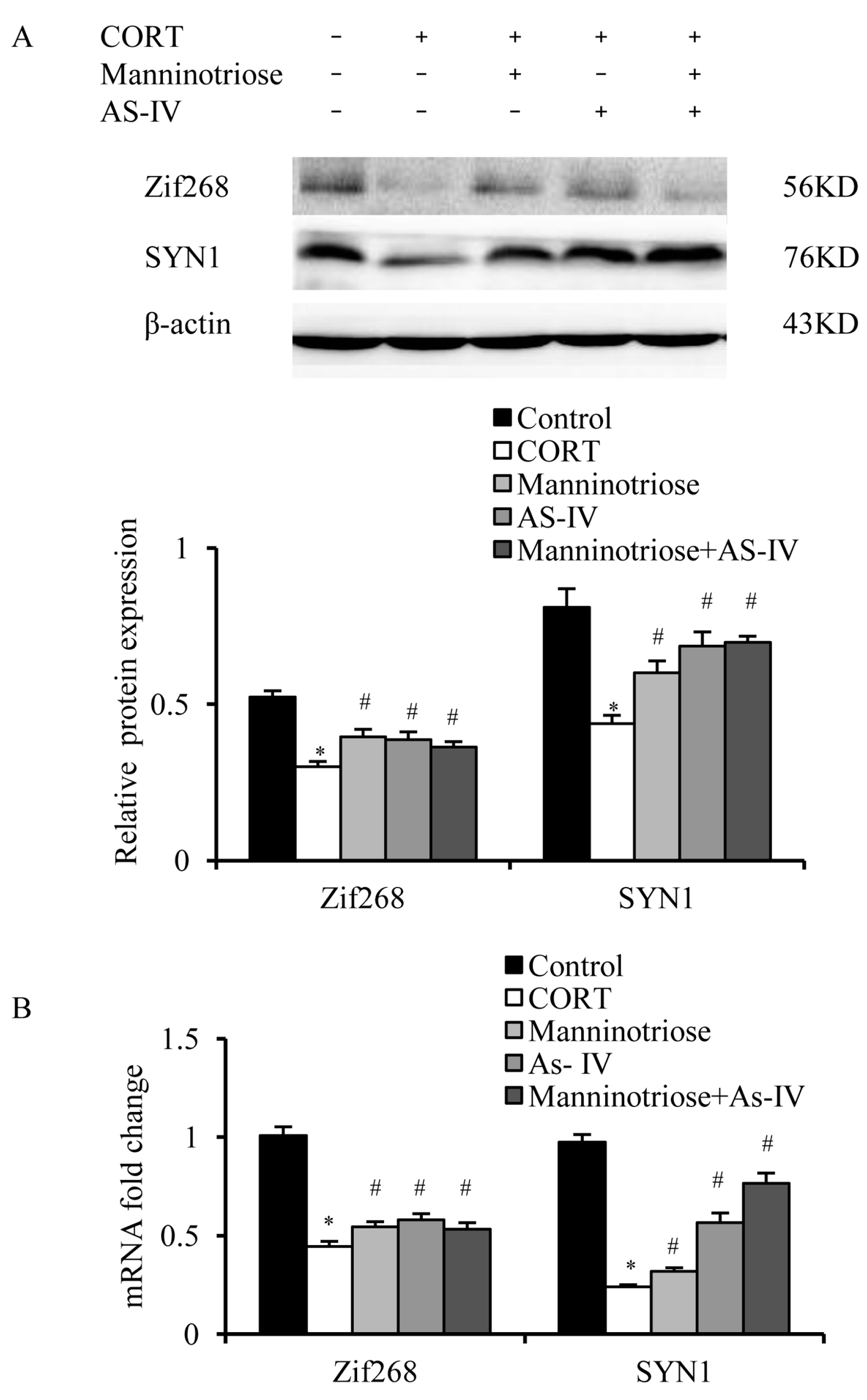 Molecules 23 03339 g004