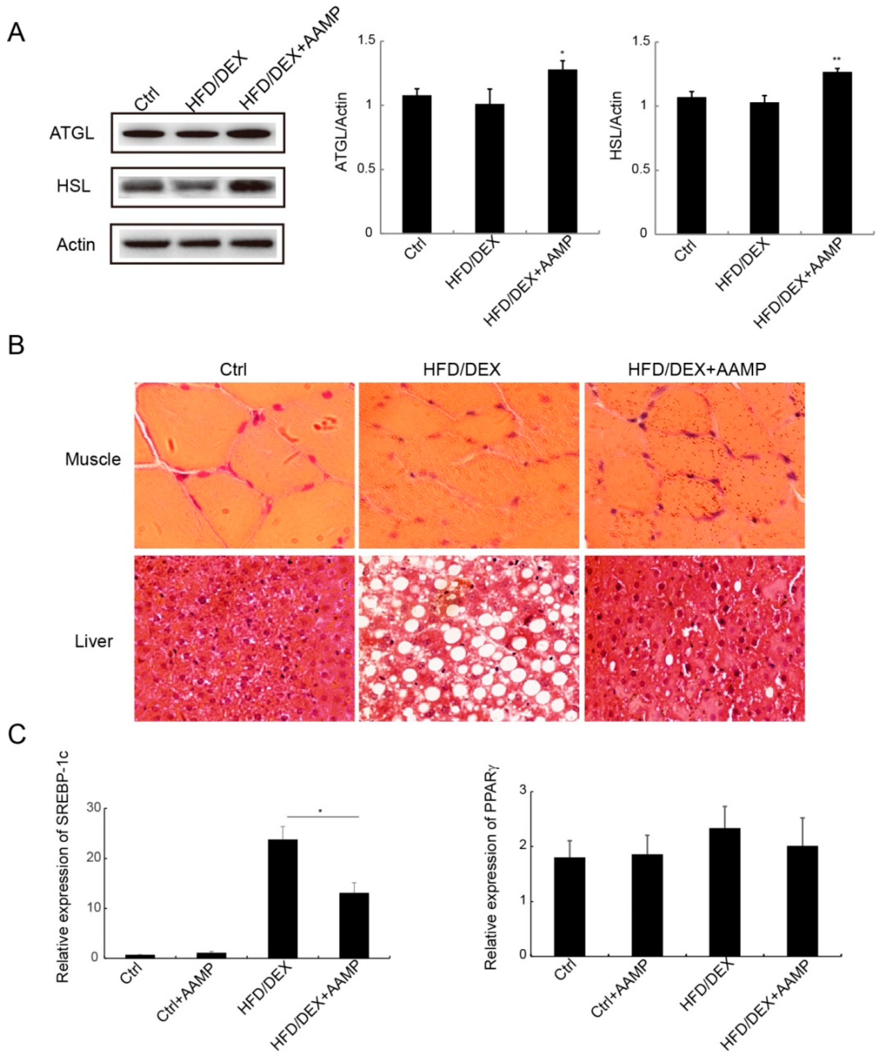 Molecules 24 00046 g007
