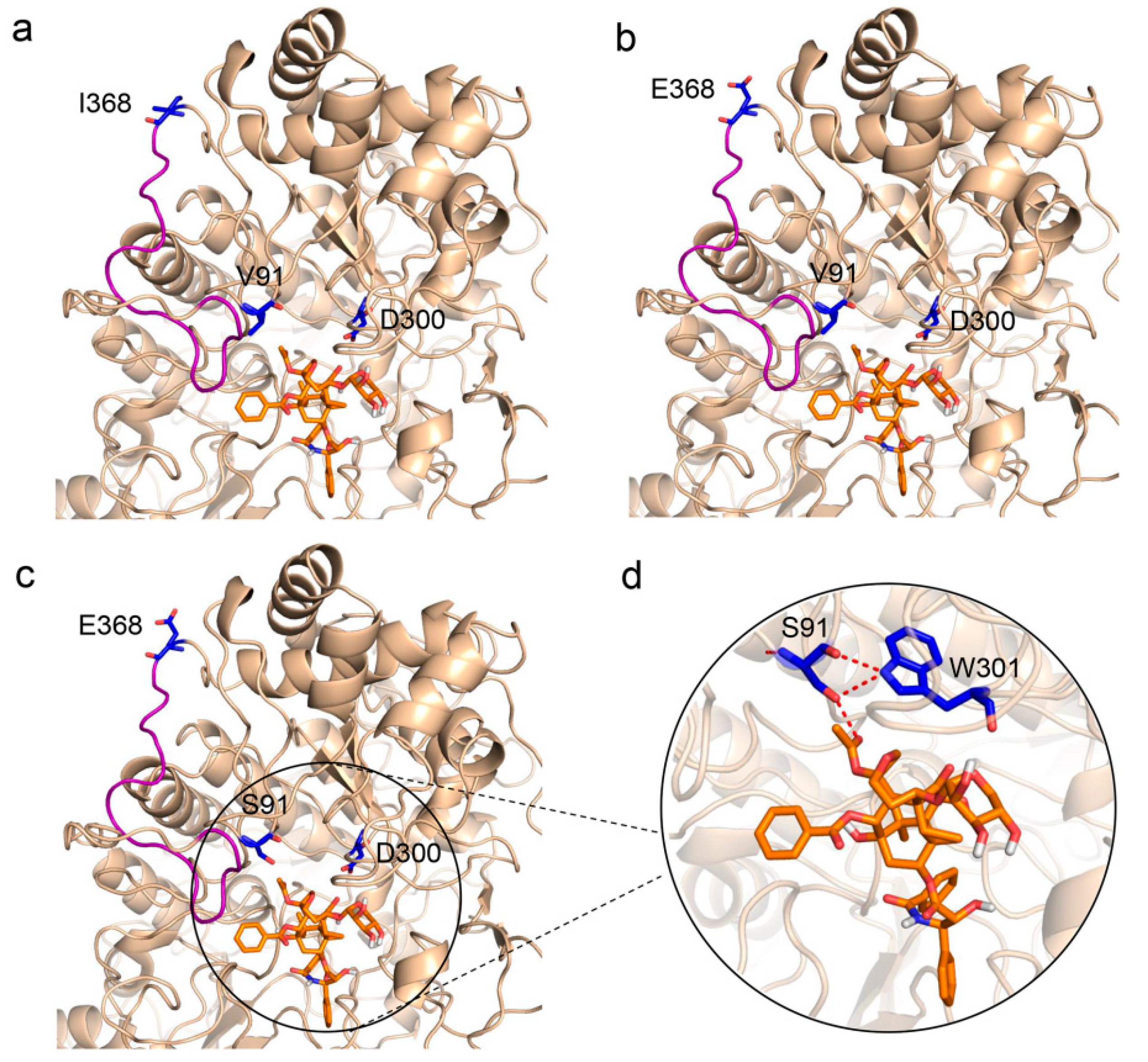 Molecules 24 00059 g003