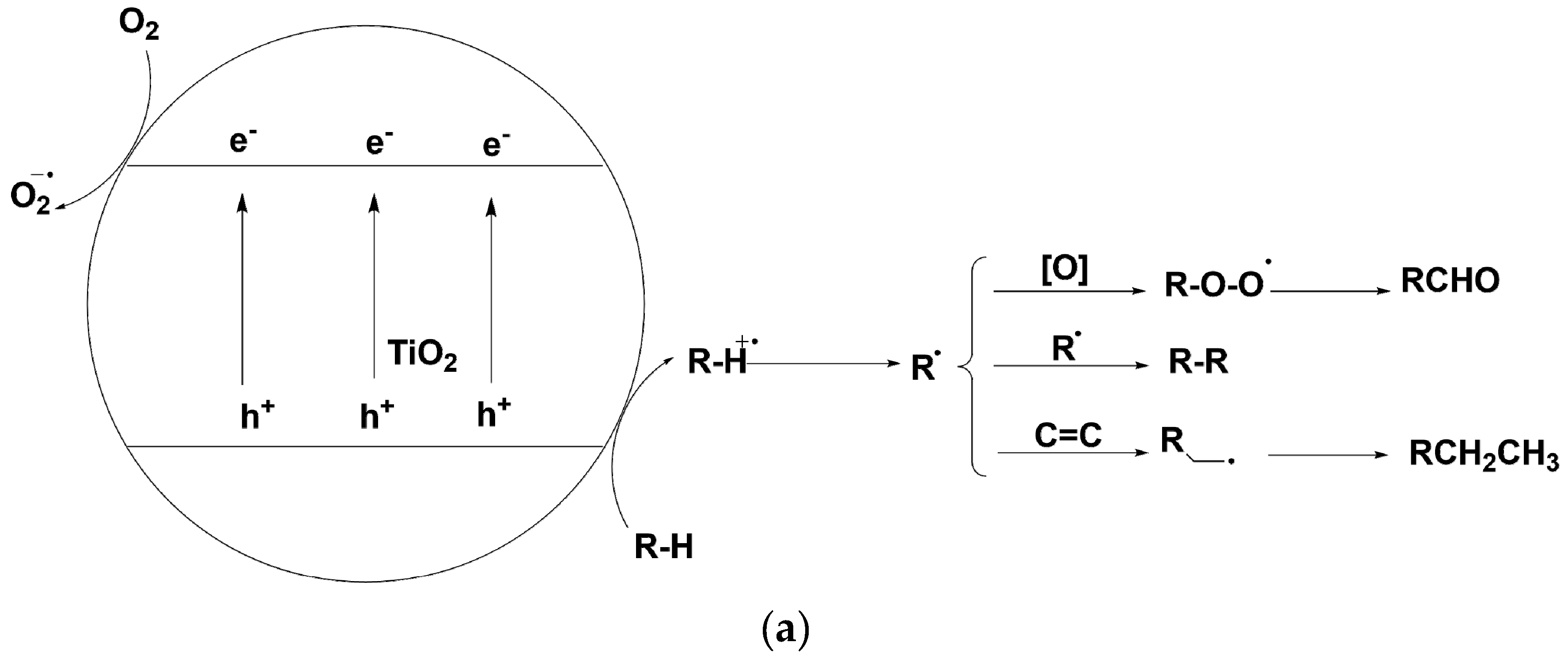Molecules 24 00330 sch002a