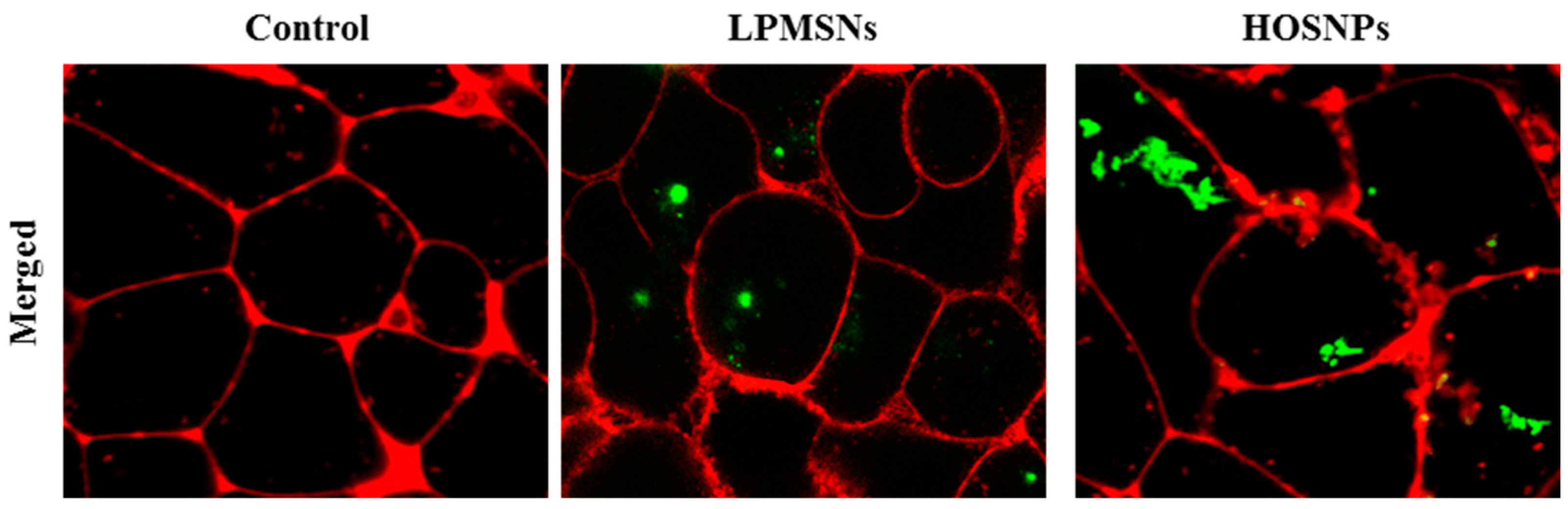 Molecules 24 00332 g004