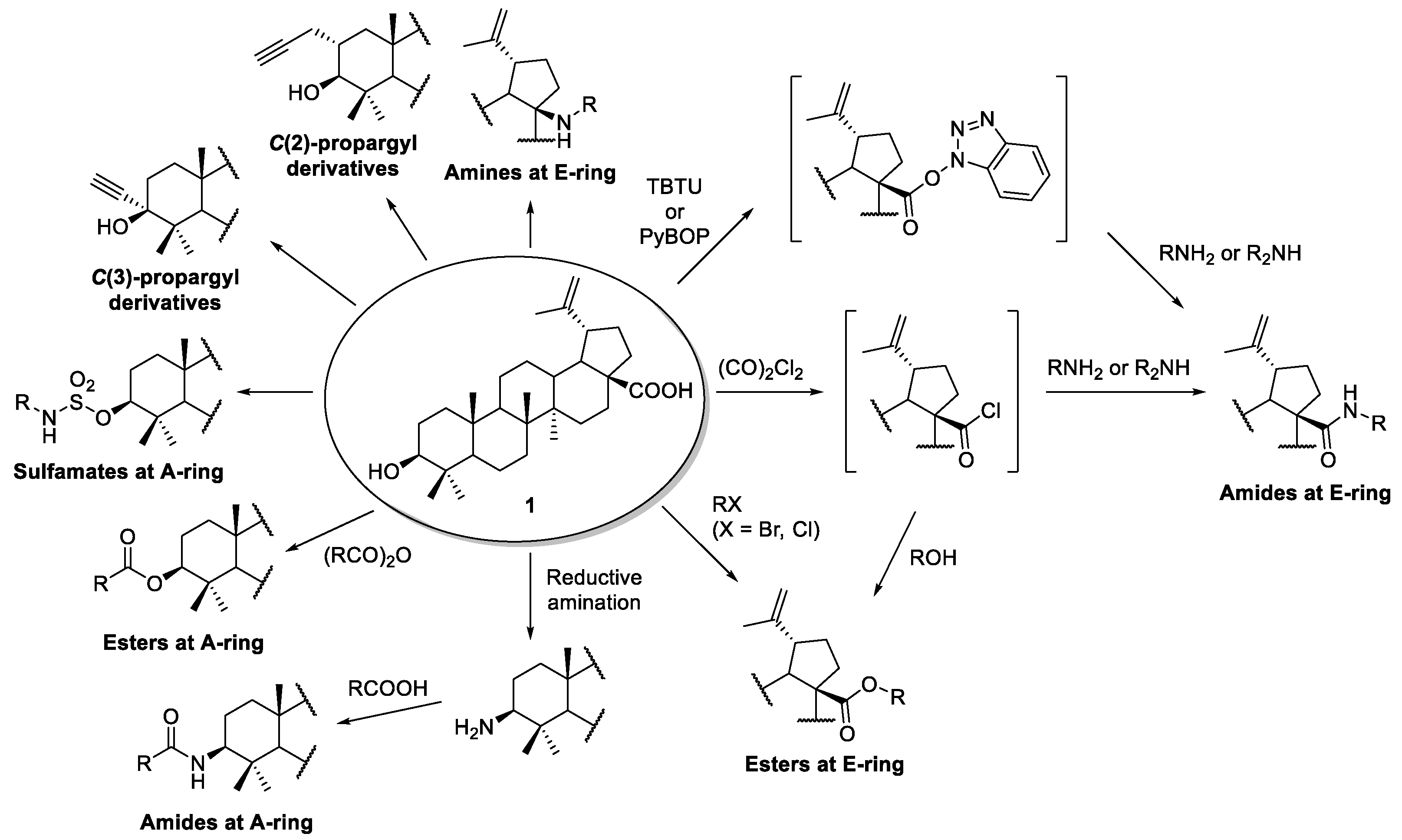 Molecules 24 00355 sch001