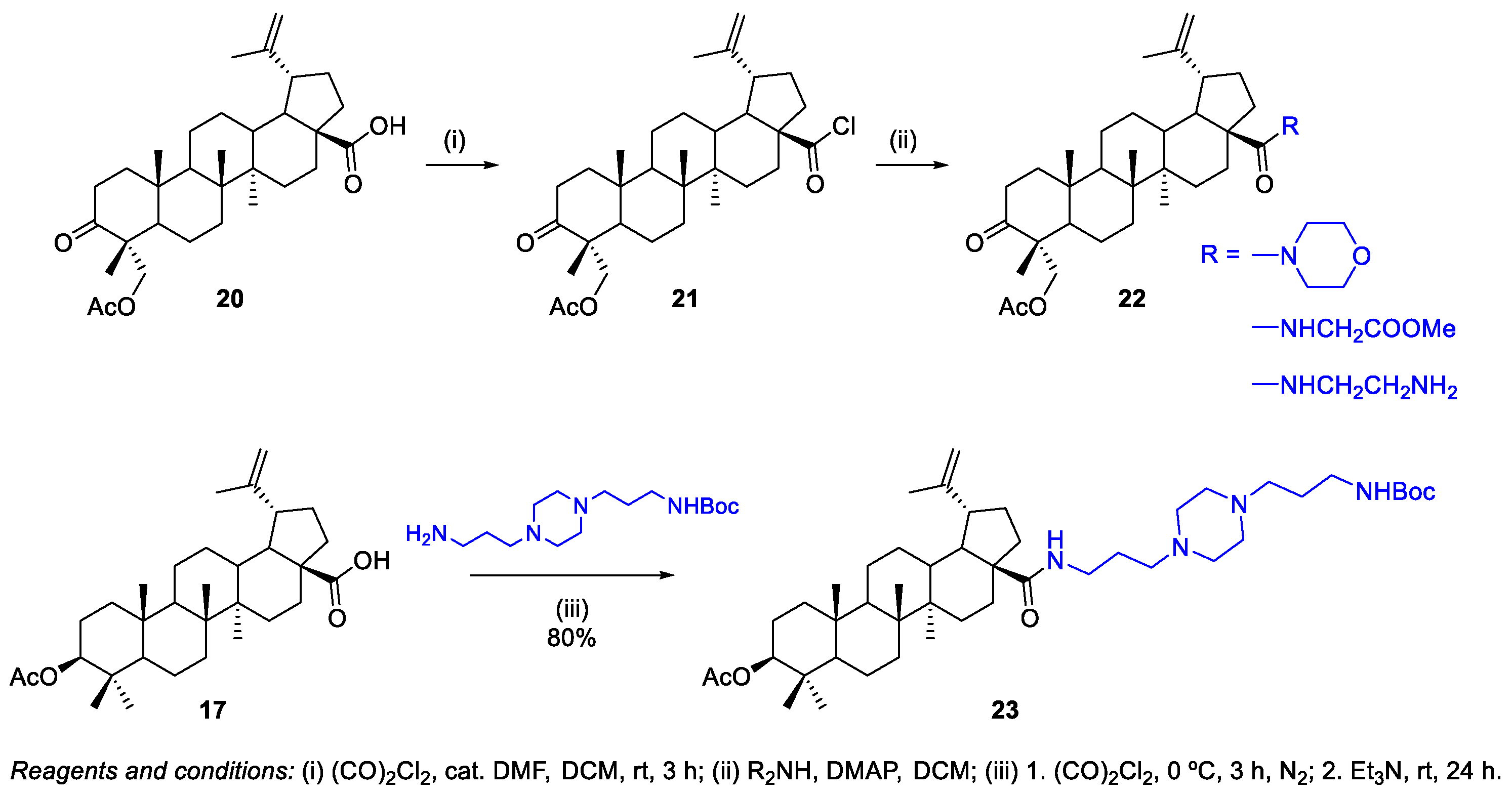 Molecules 24 00355 sch005
