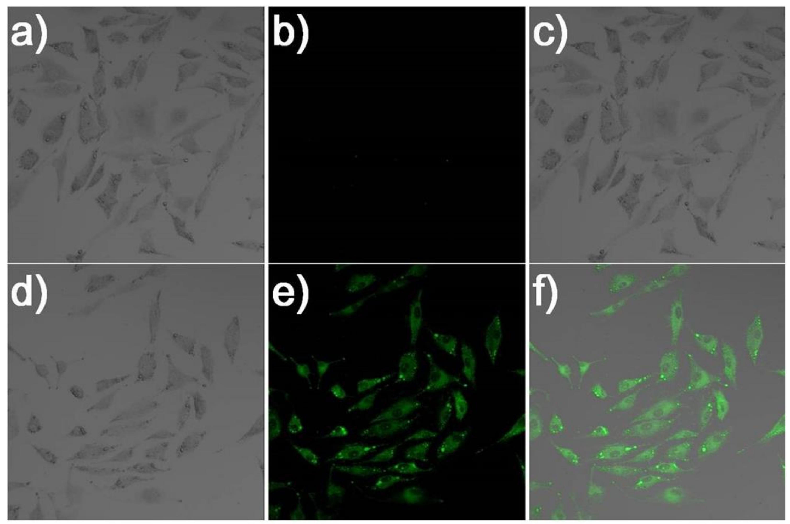 Molecules 24 00411 g006