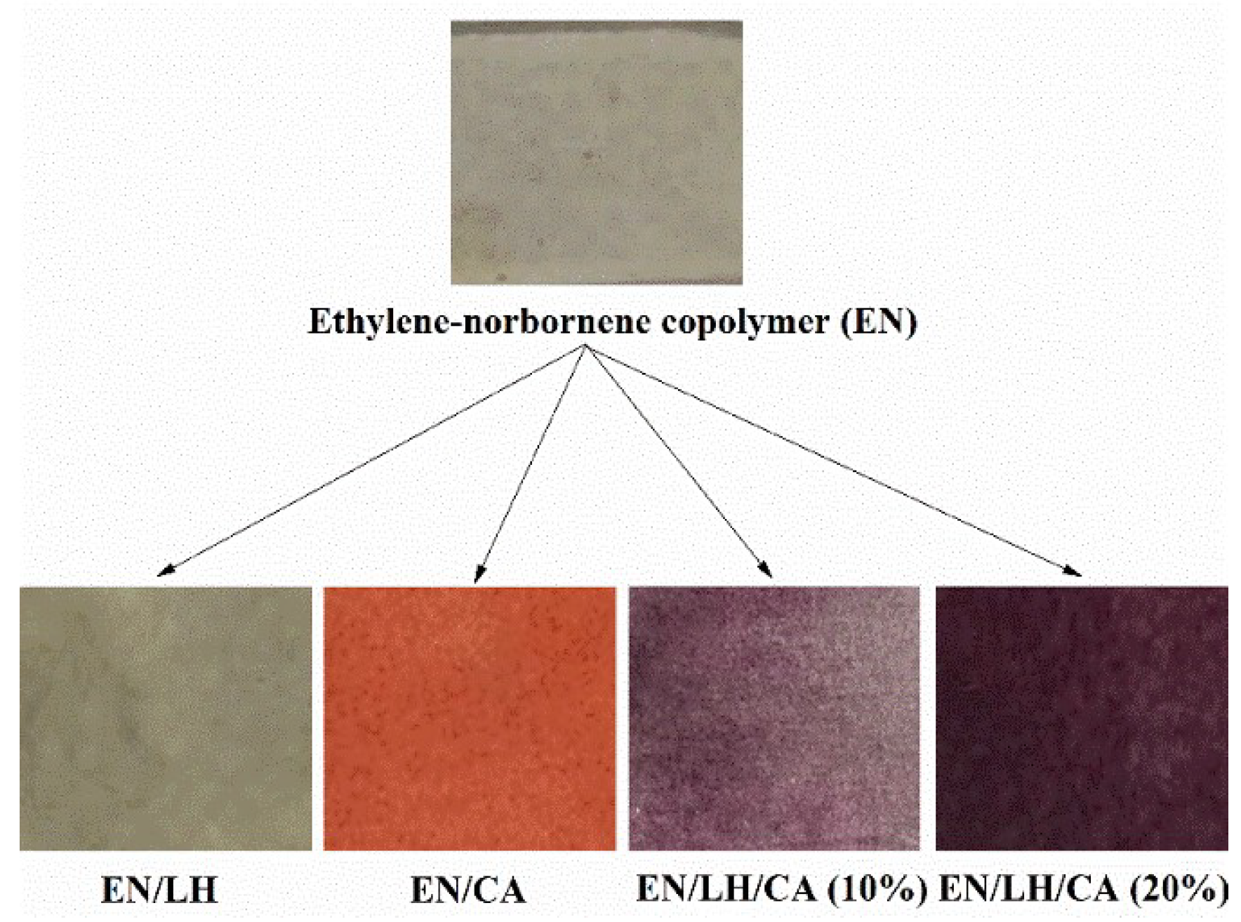Molecules 24 00560 g012