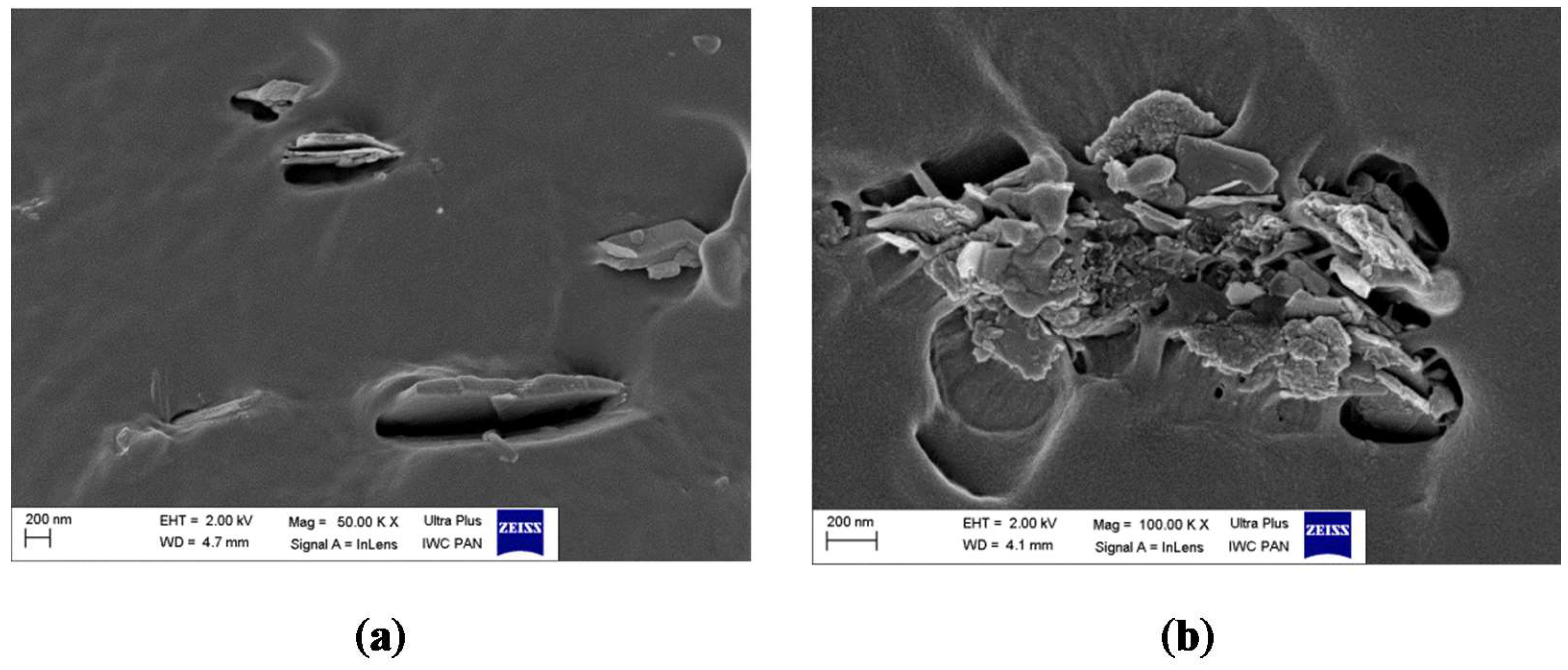 Molecules 24 00560 g013