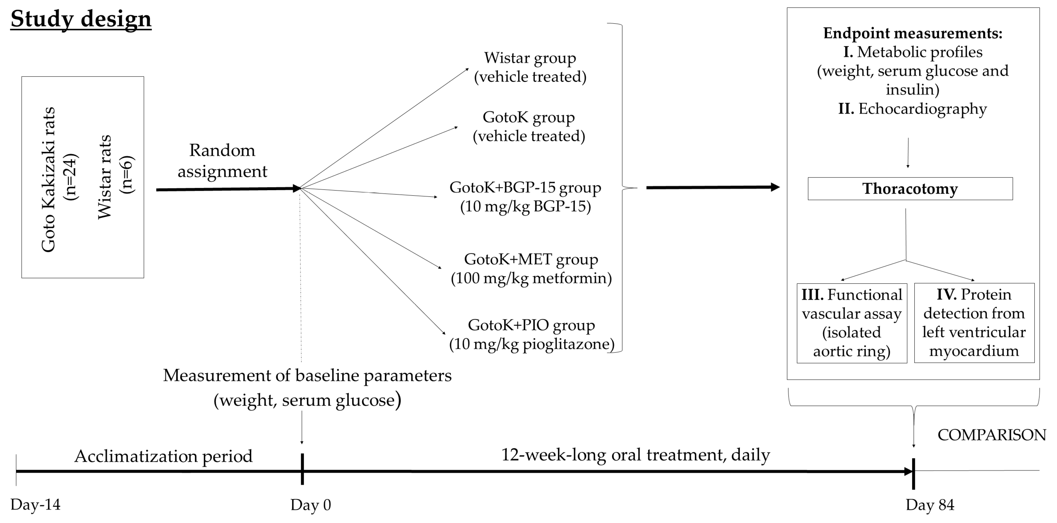 Molecules 24 00586 g005 Molecules 24 00586 g005