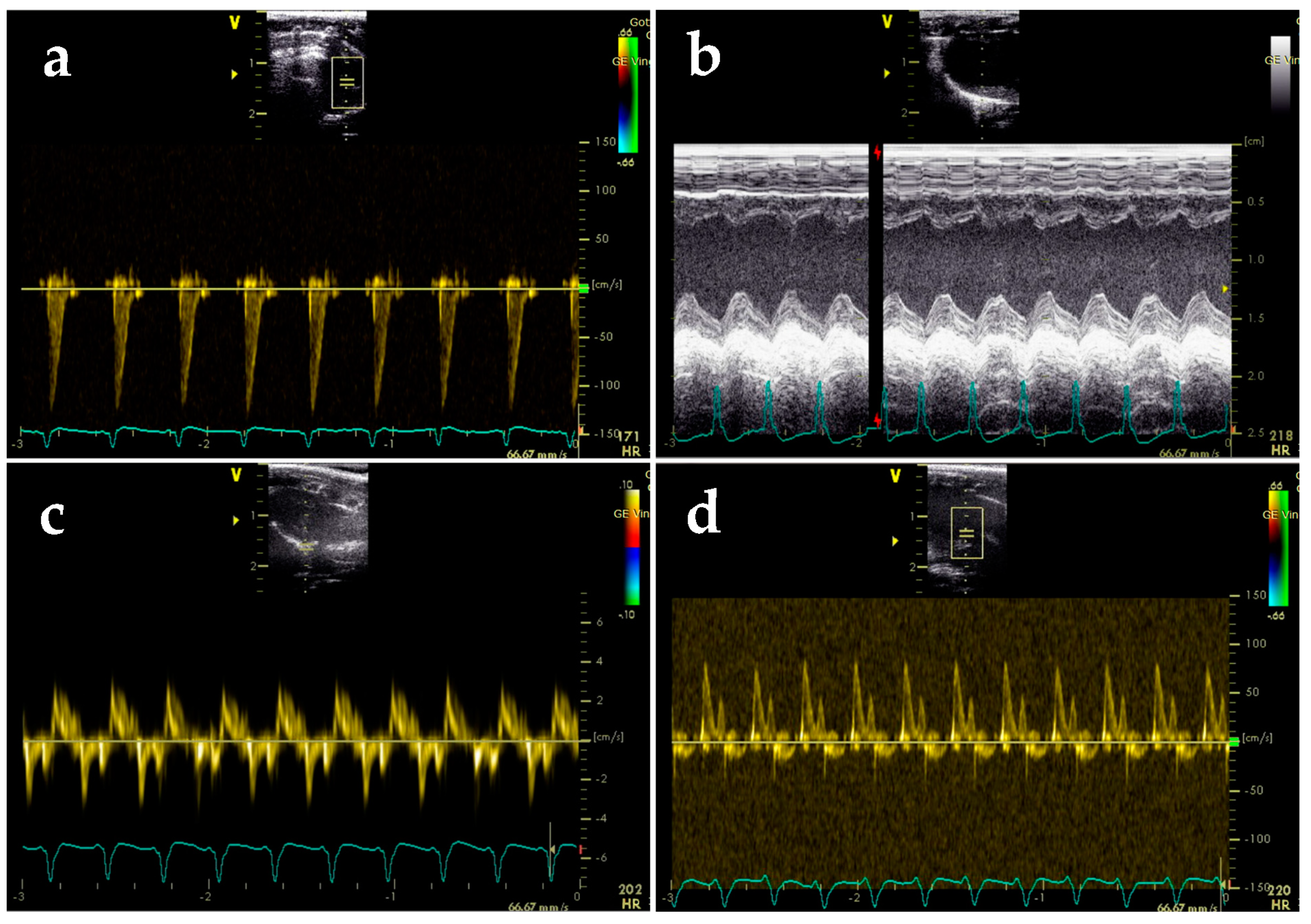 Molecules 24 00586 g007 Molecules 24 00586 g007