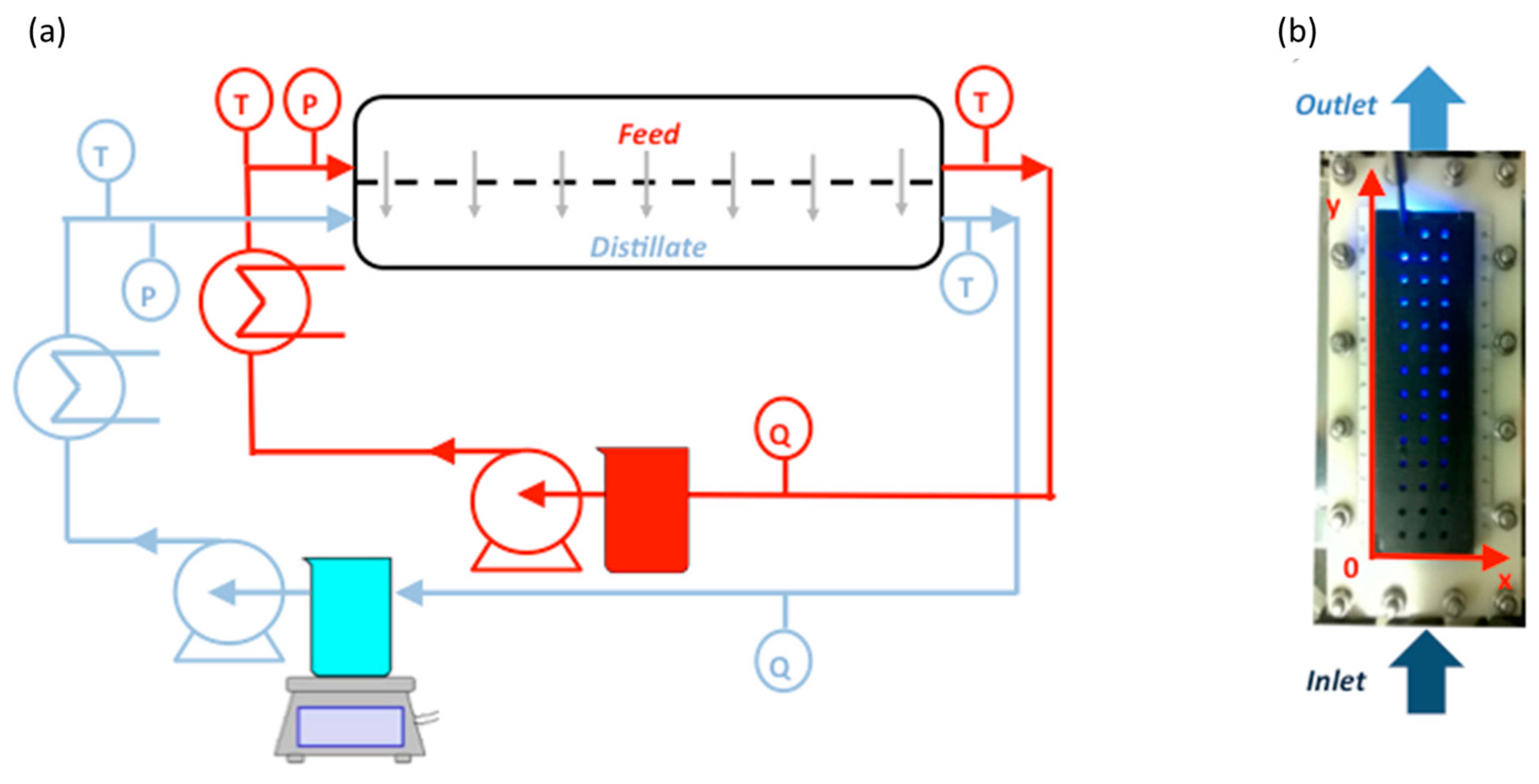 Molecules 24 00638 g002 Molecules 24 00638 g002
