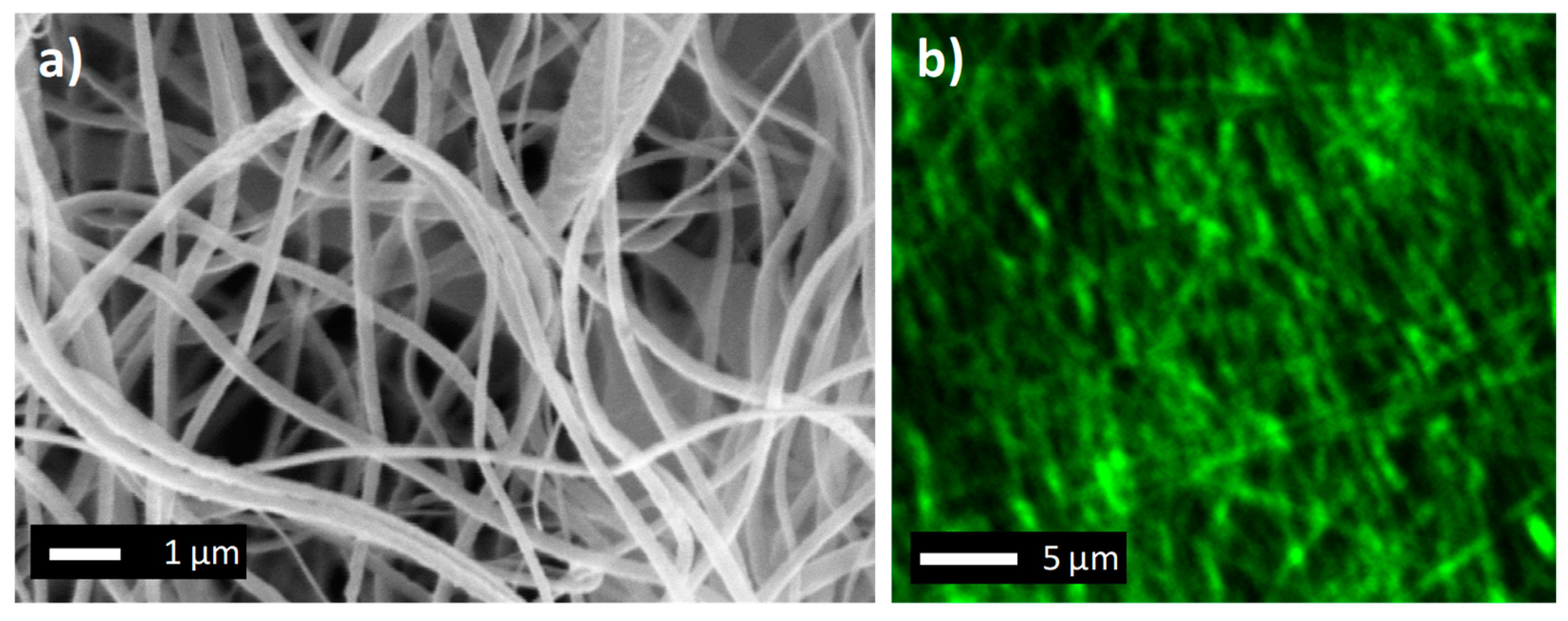 Molecules 24 00638 g003 Molecules 24 00638 g003