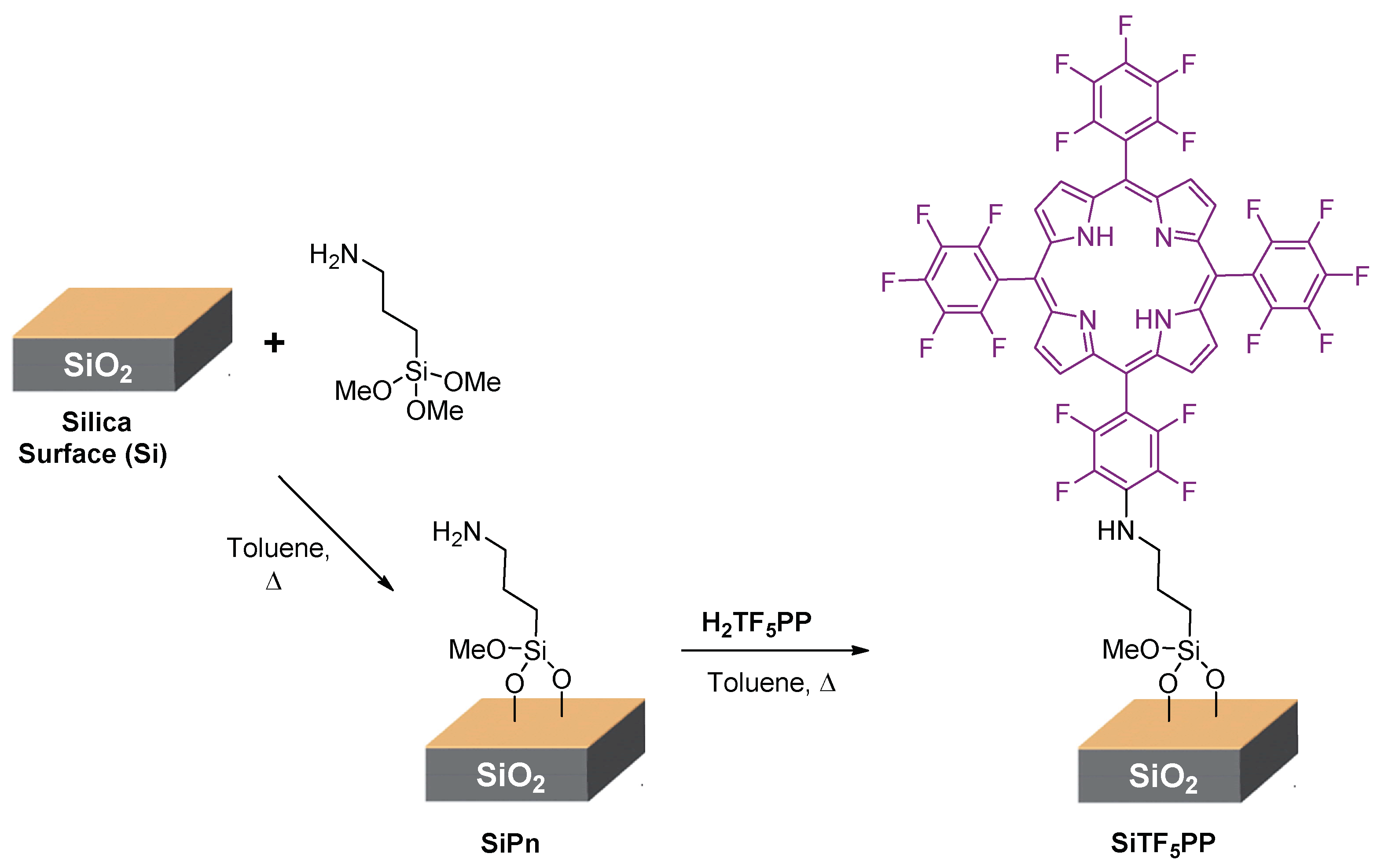 Molecules 24 00669 sch001