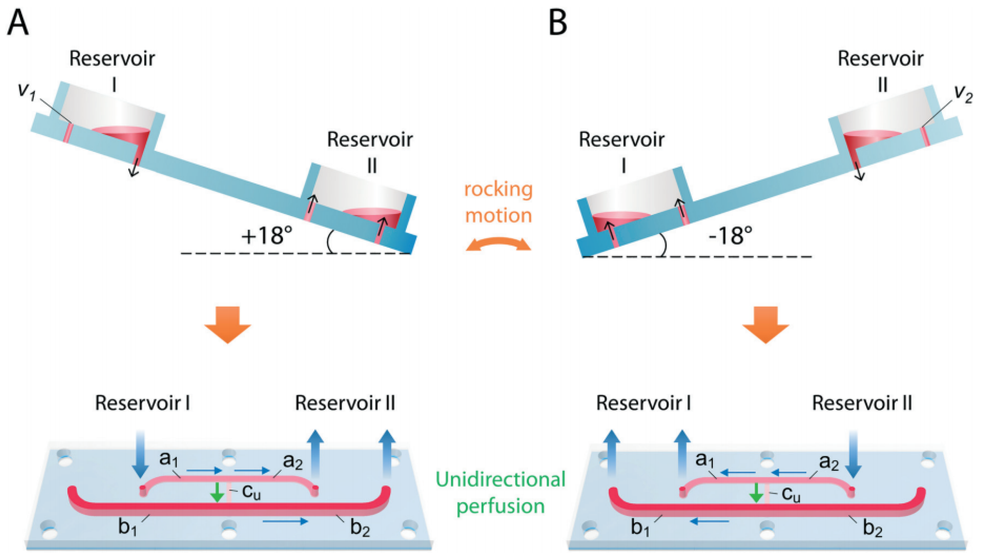 Molecules 24 00675 g003
