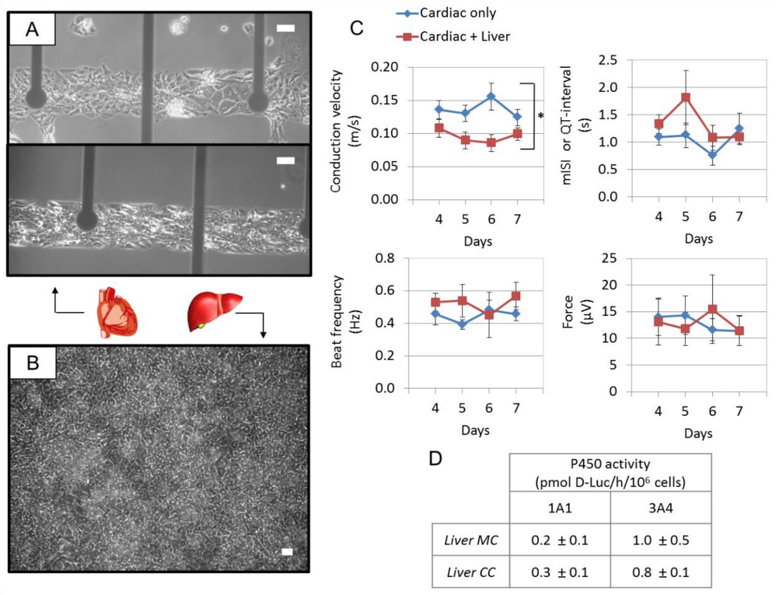 Molecules 24 00675 g005